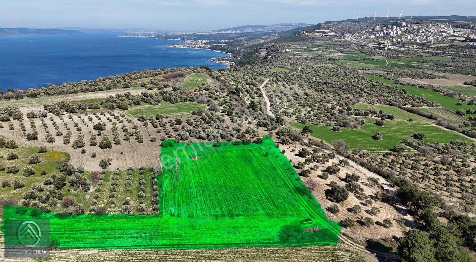 Çanakkale Merkez Erenköy Köyü (Merkez) Satılık Tarla İNTEPEDE KADASTROL YOLA CEPHELİ TARLA