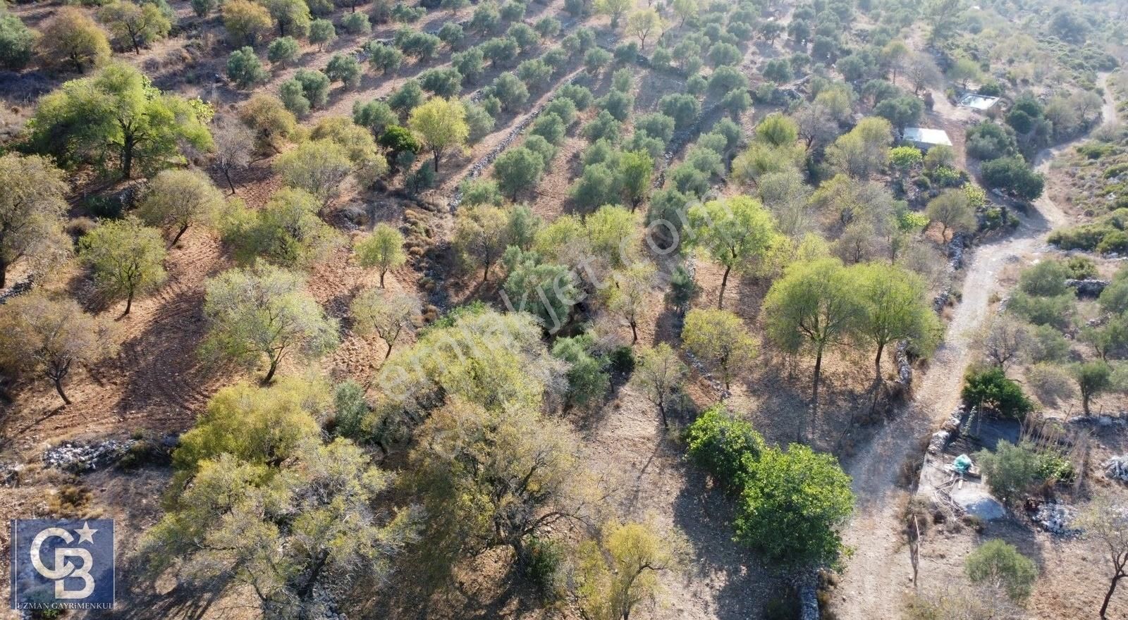 Marmaris Söğüt Satılık Tarla Marmaris Söğütte Yola Cepheli Doğa Manzaralı Satılık Tarla