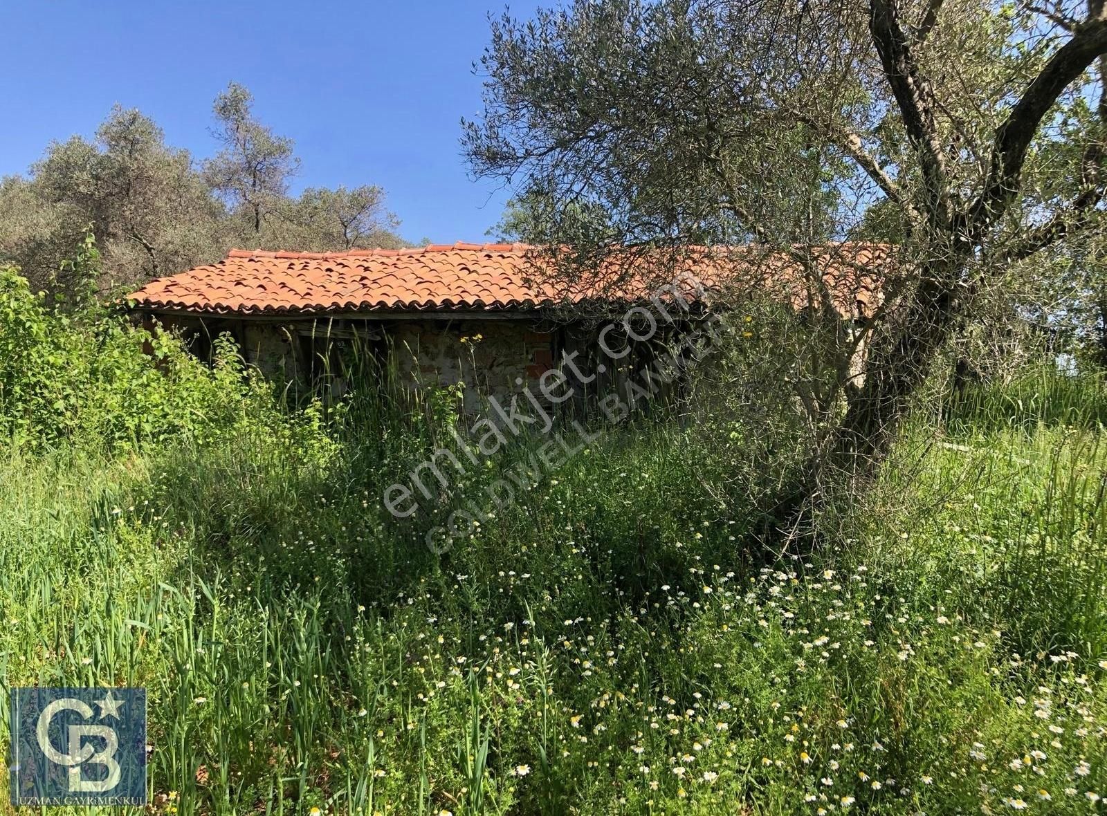 Menteşe Yerkesik Satılık Tarla Menteşe Yerkesik Te Muhteşem Arazi