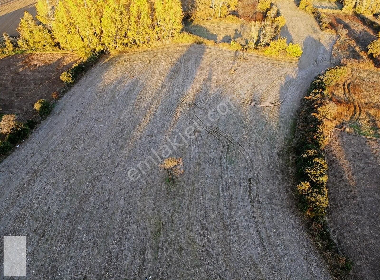 Bayramiç Pınarbaşı Köyü Satılık Tarla  ÇANAKKALE BAYRAMİÇ PINARBAŞI KÖYÜ 26.700m2 TARLA