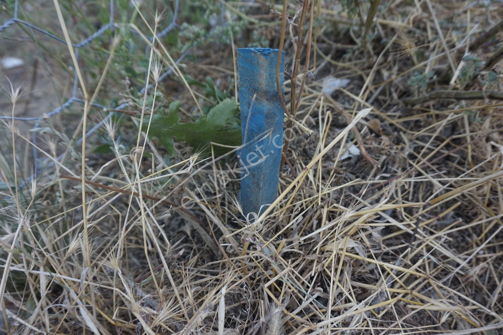 Çanakkale Bayramiç Yassıbağ Köyü İmarı Alınmış 125 M2 Arsa - Görsel 12