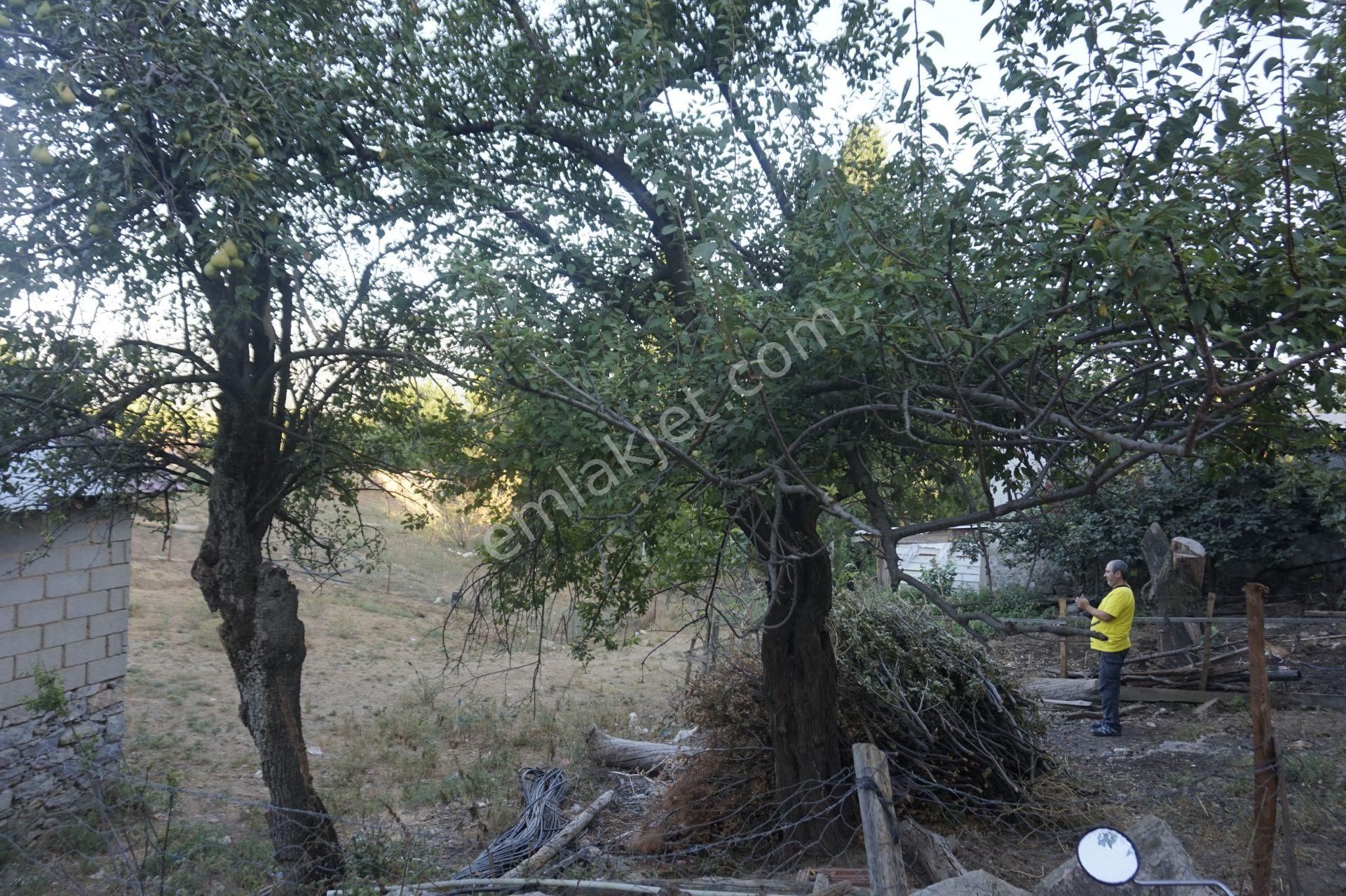 Çanakkale Bayramiç Yassıbağ Köyü İmarı Alınmış 125 M2 Arsa - Görsel 16