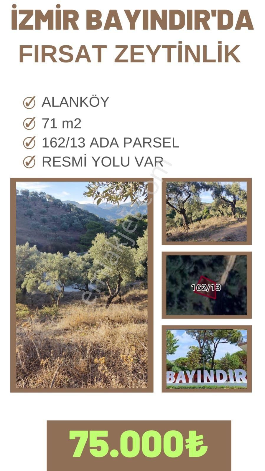 İzmir'de Yatırımlık Araziler - Görsel 2