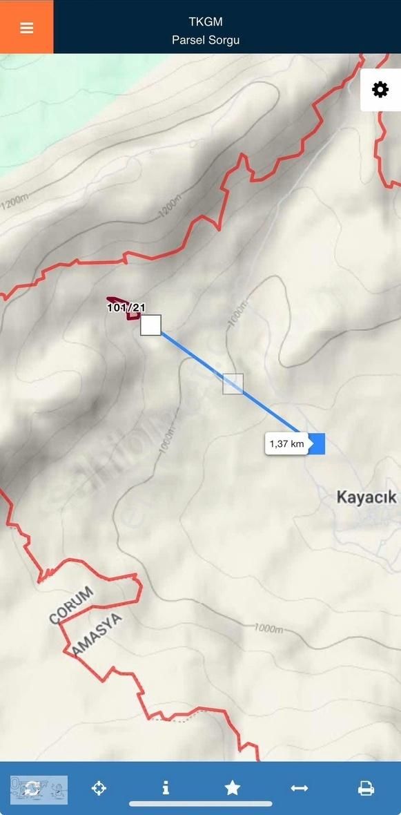 Amasya Merkez Kayacık Köyü Satılık Tarla AMASYA MERKEZ KAYACIK 9.803 M2 TEK TAPU UYGUN FİYAT