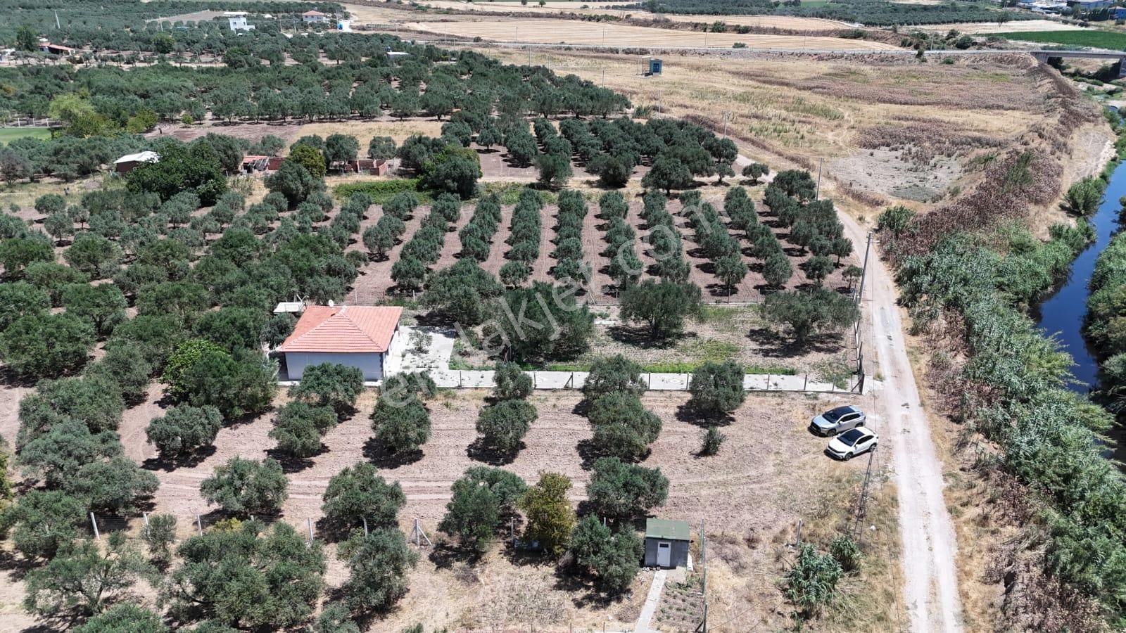 Akhisar Doğuca Satılık Bağ & Bahçe  DOĞUCA'DA 1.020 M² SATILIK EŞYALI BAĞ EVİ