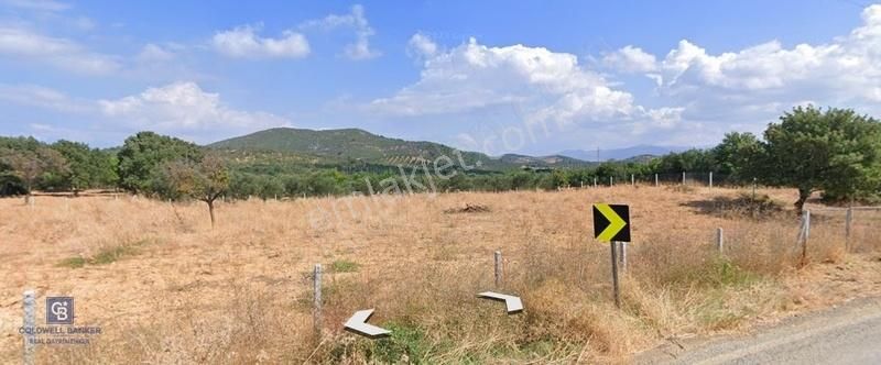 Burhaniye Pelitköy Satılık Ticari İmarlı Burhaniye Pelitköy' de oksijen ve huzur dolu 404 m2 Arsa