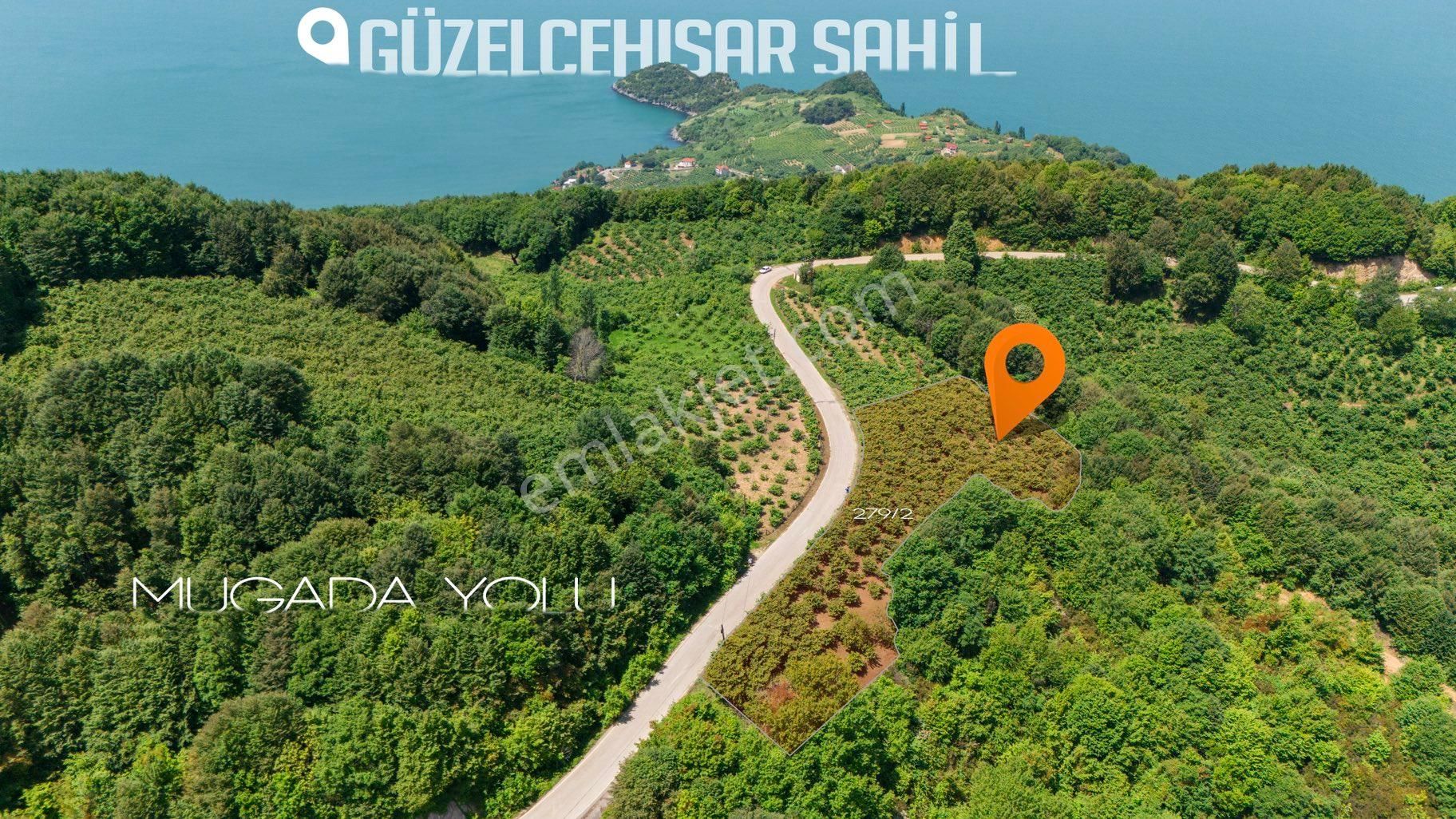 Bartın Merkez Güzelcehisar Köyü (Kapaklı) Satılık Tarla  2899 M2 180 AĞAÇ FINDIK FİDANI OLAN DENİZ GÖREN SATILIK TARLA