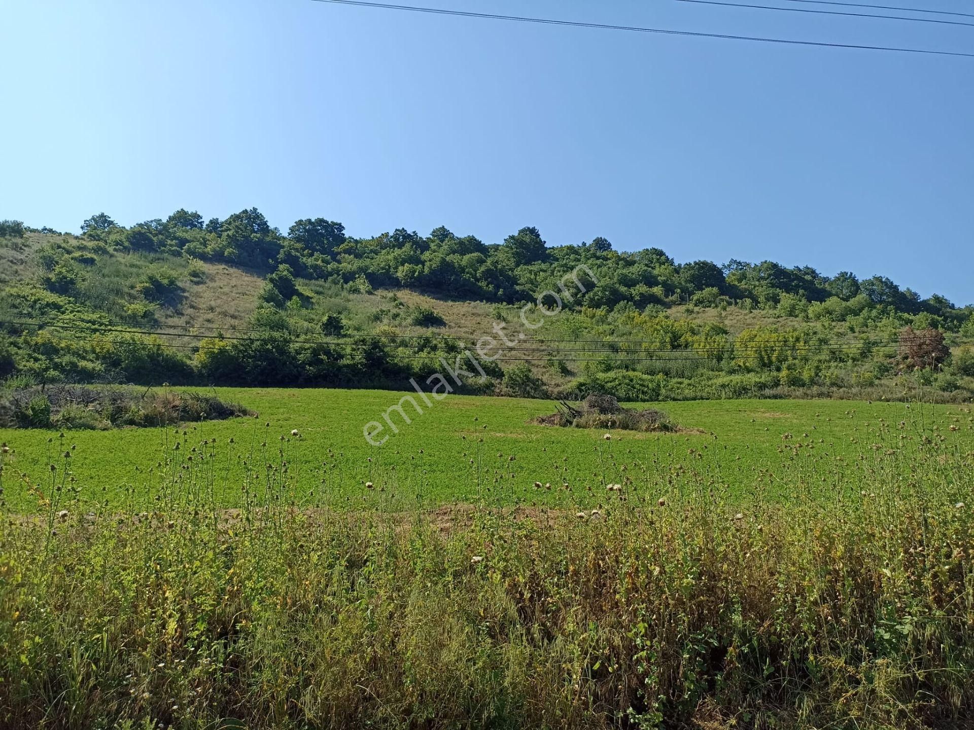 Altınova Karadere Köyü Satılık Tarla  Yalova Altınova Karadere köyünde satılık 18.735M2 tarla!