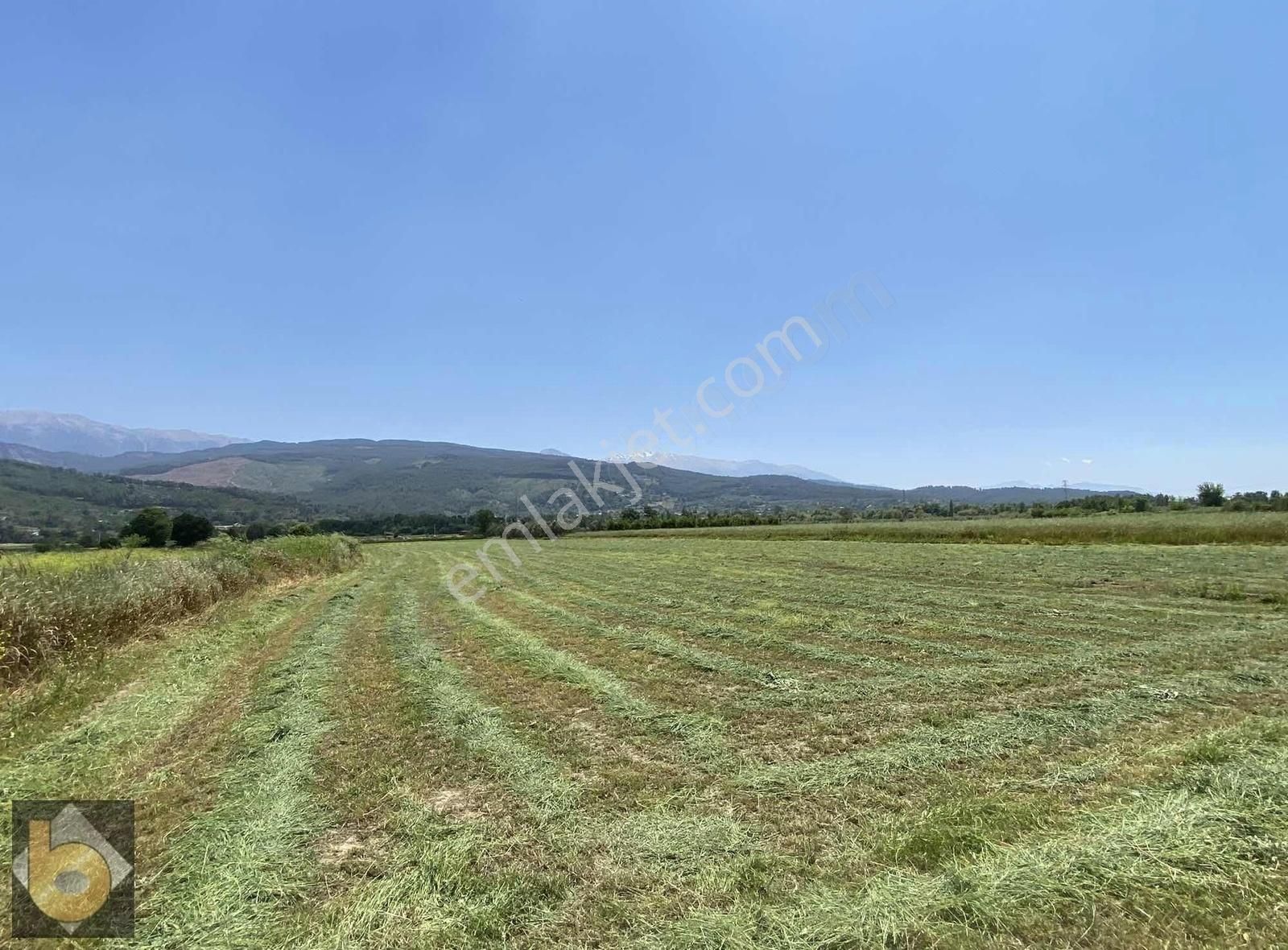 Seydikemer Eşen Satılık Tarla Seydikemer Eşen Köyünde 2500m2 Satılık Yola Cephe Tarla