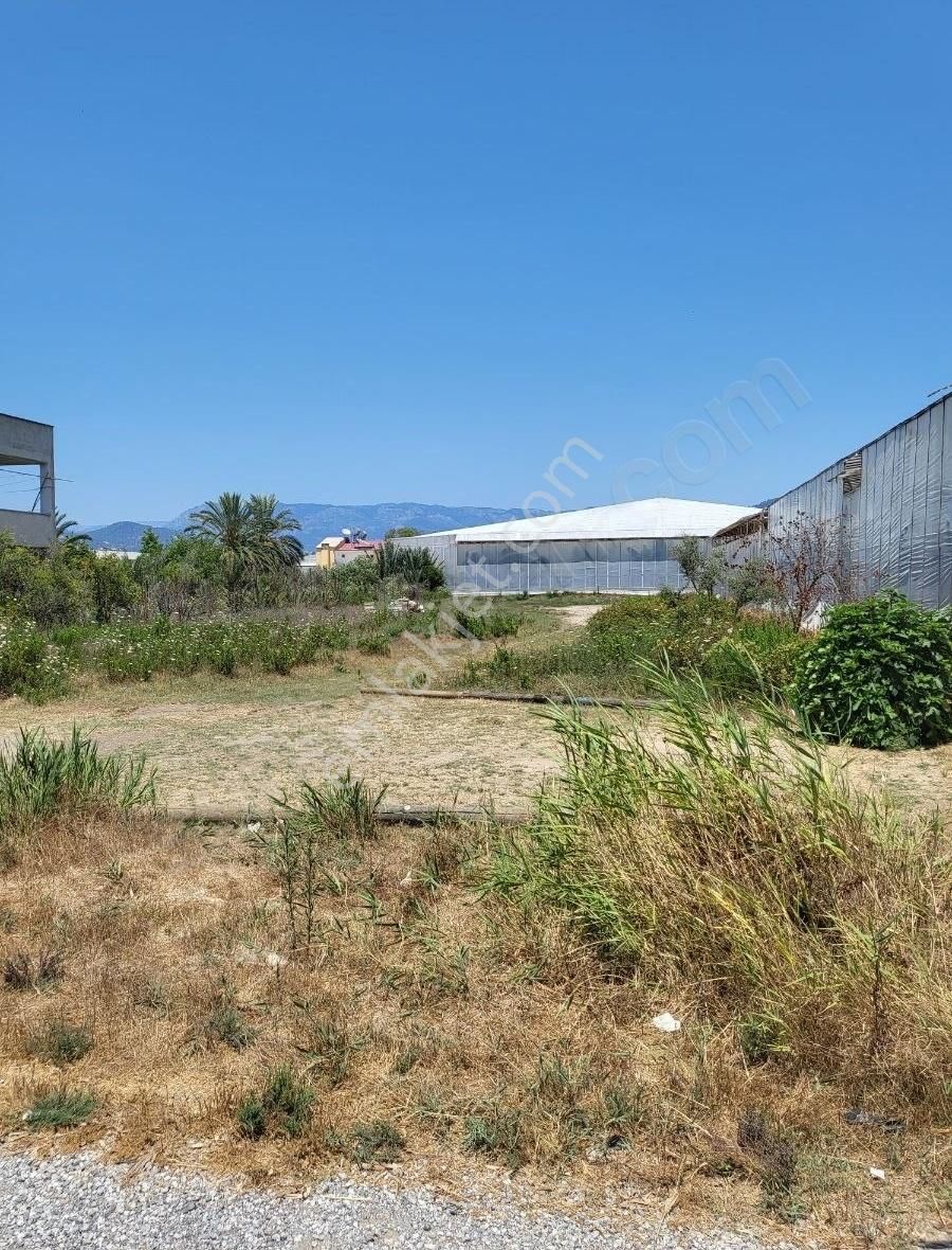 Anamur Güzelyurt Satılık Tarla SATILIK ARSA 1750m2