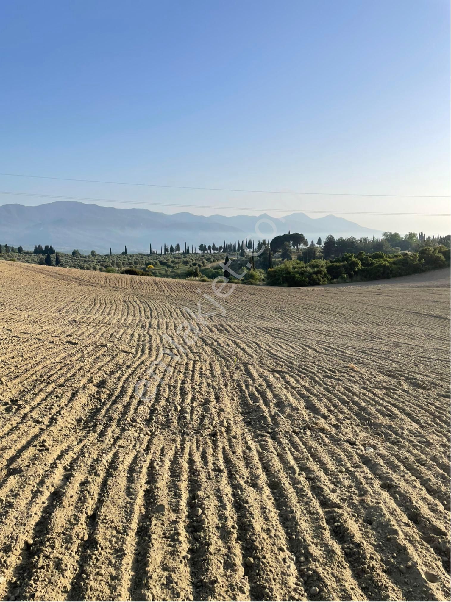 Kuşadası Yaylaköy Satılık Tarla KUŞADASI YAYLAKÖYDE 54.000 M2 ARAZİ