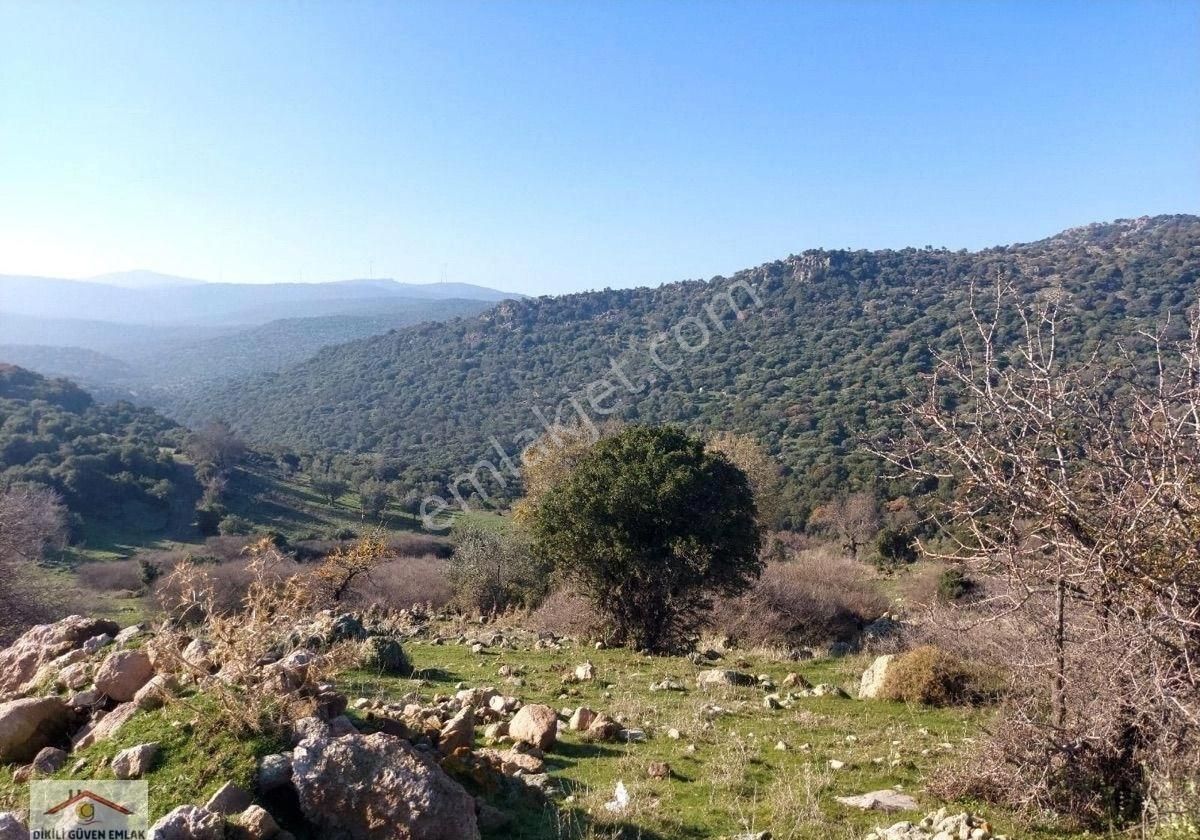 Dikili Güven Emlak'tan Tilkitepe Mevkii Satılık Arsa - Görsel 6