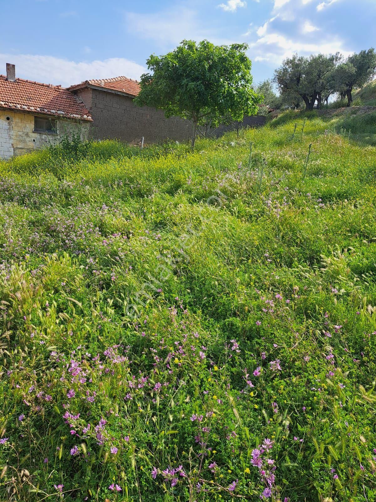 Utku İnş Gayrimenkulden Akhisar Zeytinliova Mah Villa İmarlı Arsa - Görsel 8
