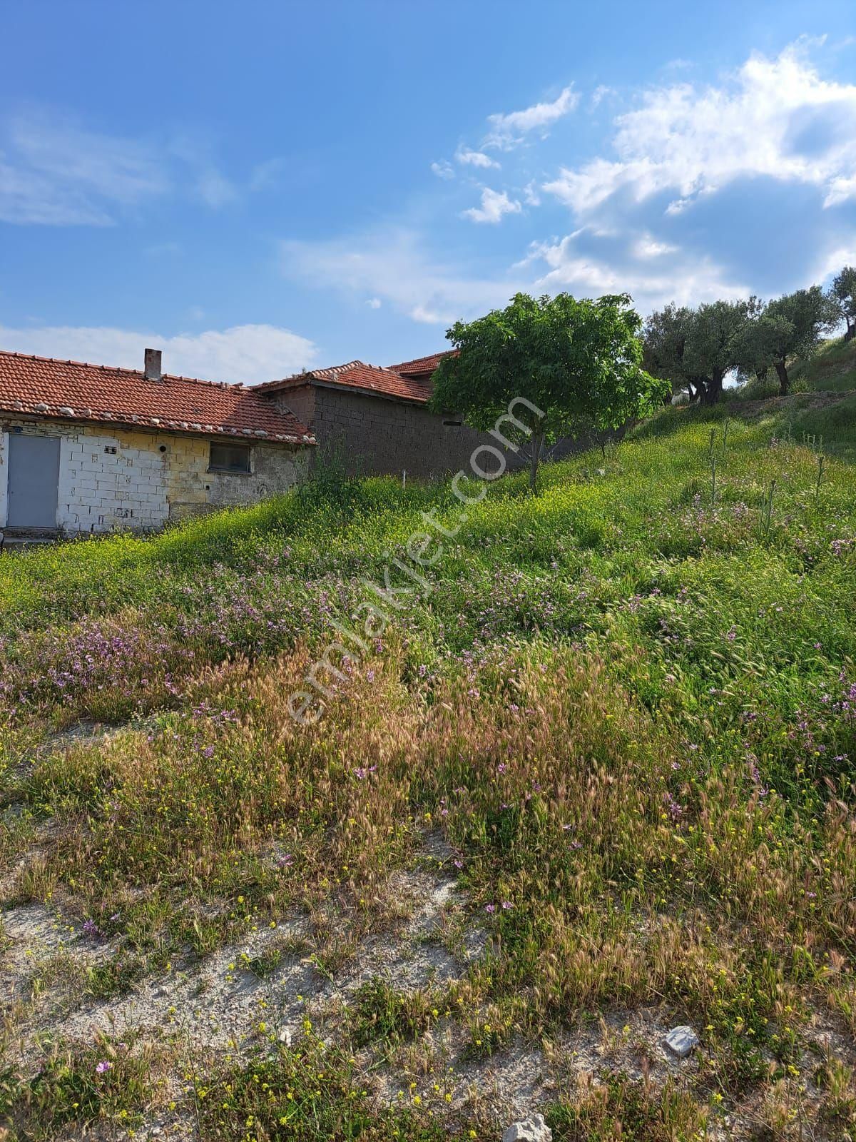 Utku İnş Gayrimenkulden Akhisar Zeytinliova Mah Villa İmarlı Arsa - Görsel 14