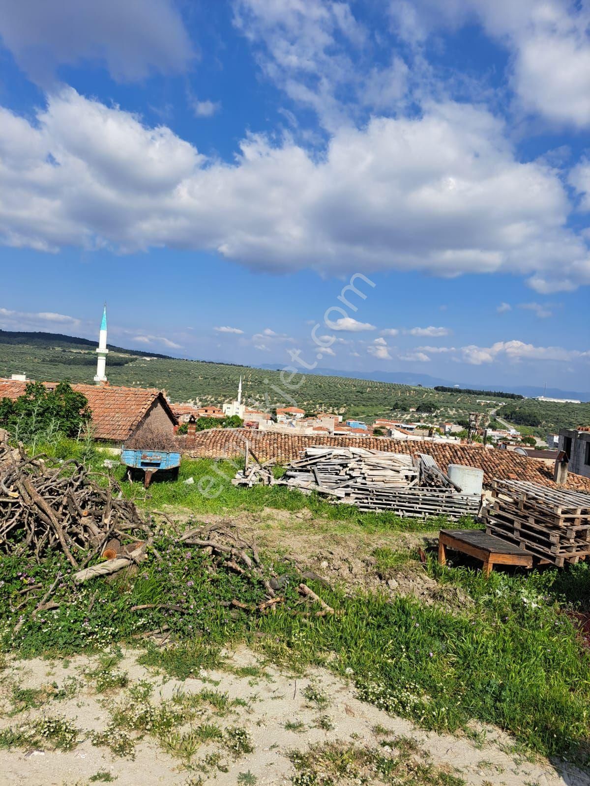 Utku İnş Gayrimenkulden Akhisar Zeytinliova Mah Villa İmarlı Arsa - Görsel 5