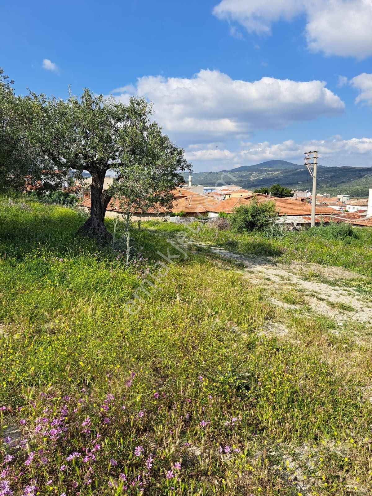 Utku İnş Gayrimenkulden Akhisar Zeytinliova Mah Villa İmarlı Arsa - Görsel 12