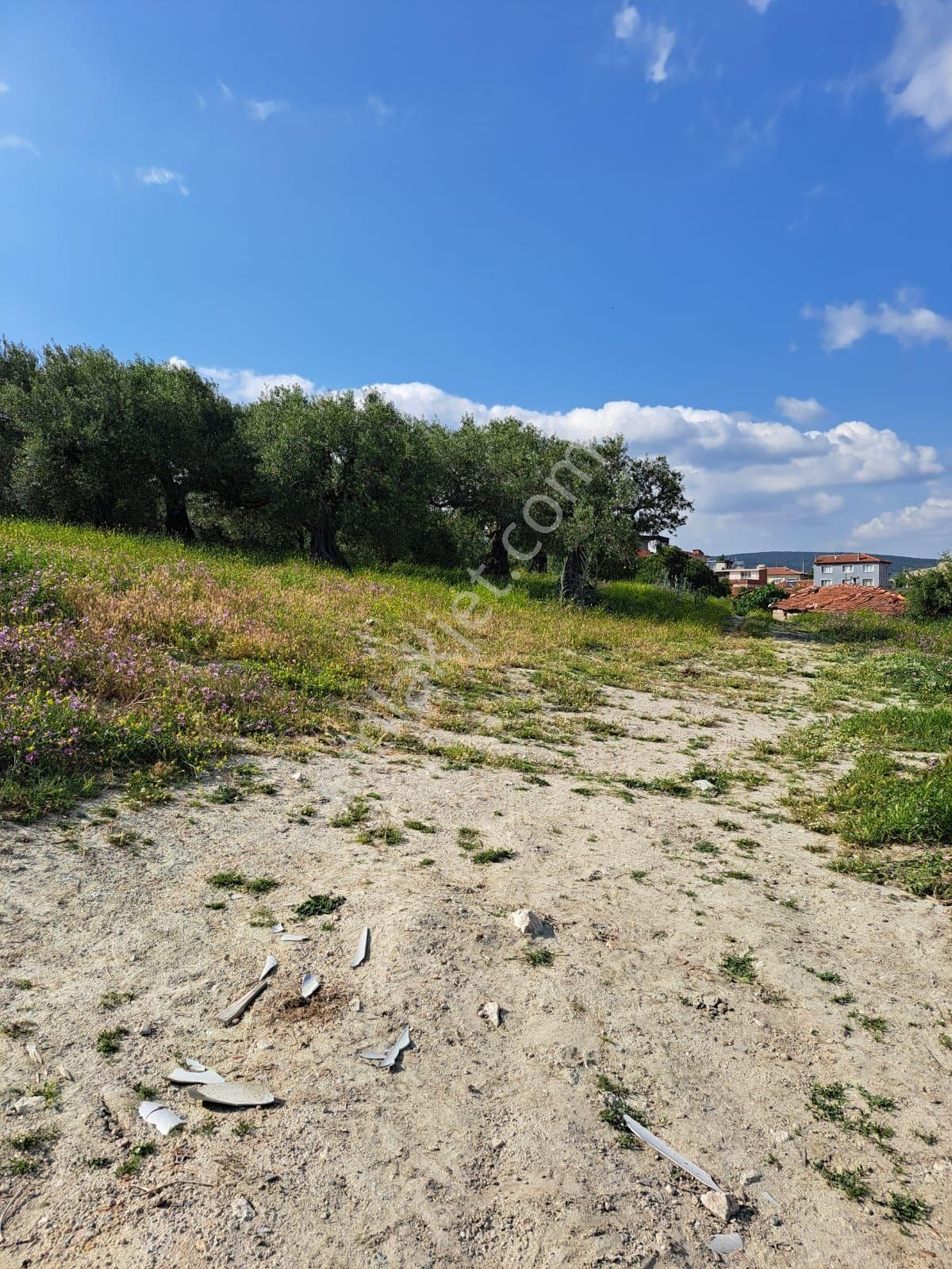 Utku İnş Gayrimenkulden Akhisar Zeytinliova Mah Villa İmarlı Arsa - Görsel 15