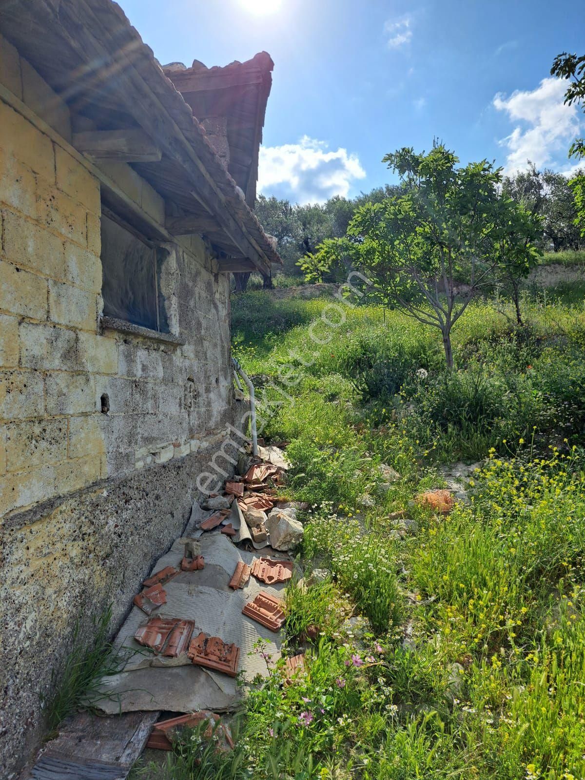 Utku İnş Gayrimenkulden Akhisar Zeytinliova Mah Villa İmarlı Arsa - Görsel 2
