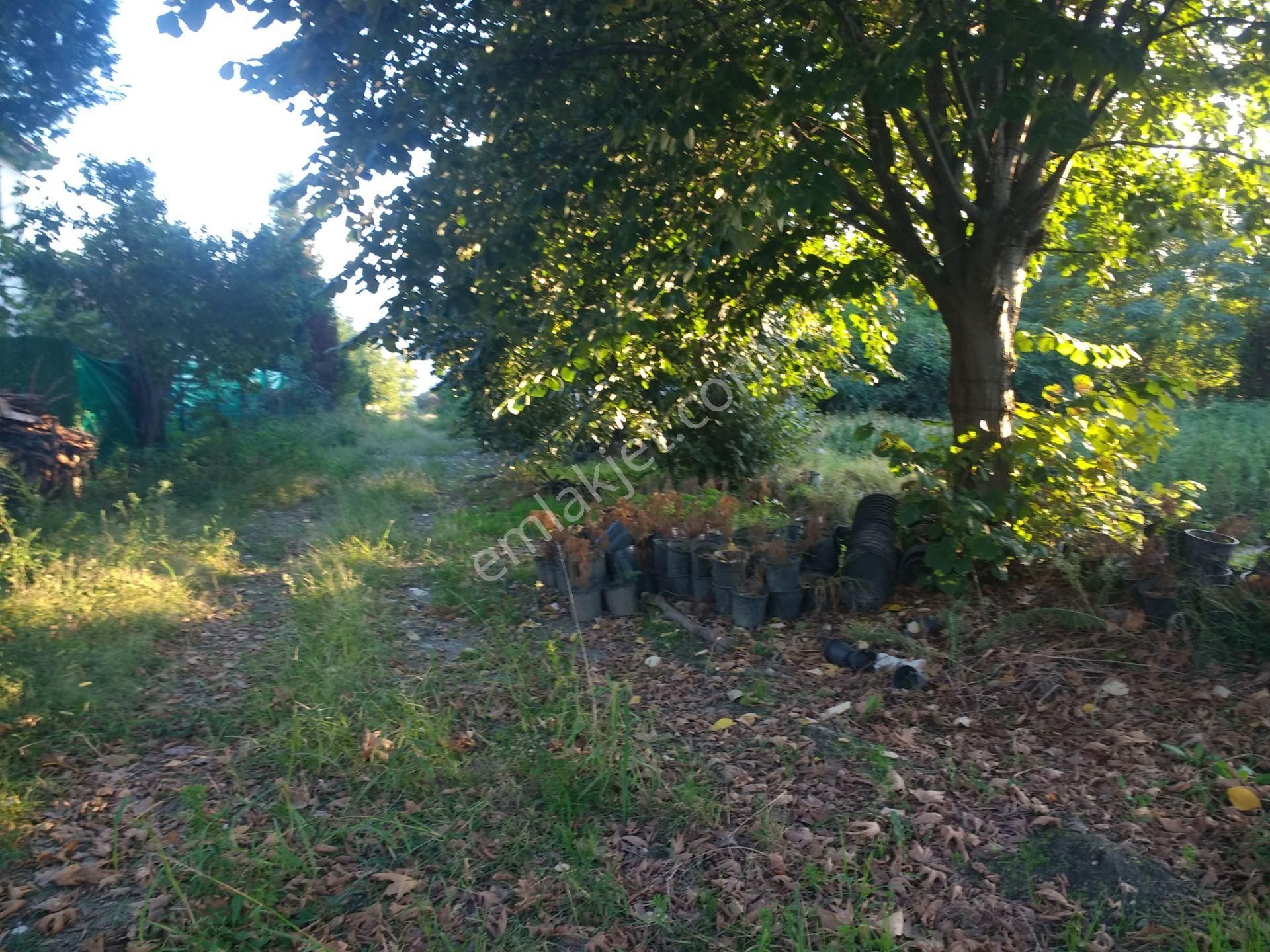 Sapanca'da Rustempasa Mahallesı Kiralık Arsa - Görsel 4