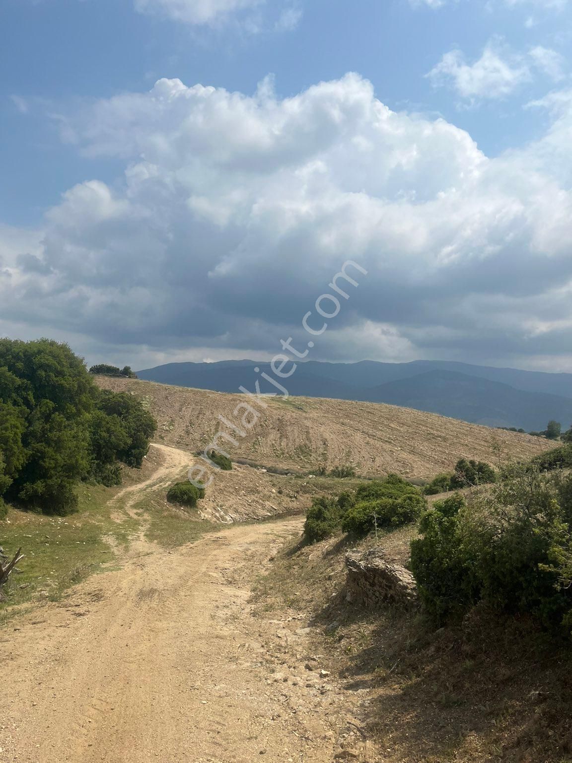 Yenipazar Karacaören Satılık Tarla Yenipazar Karacaören köyünde 32400 m2 satılık incir fidanlığı