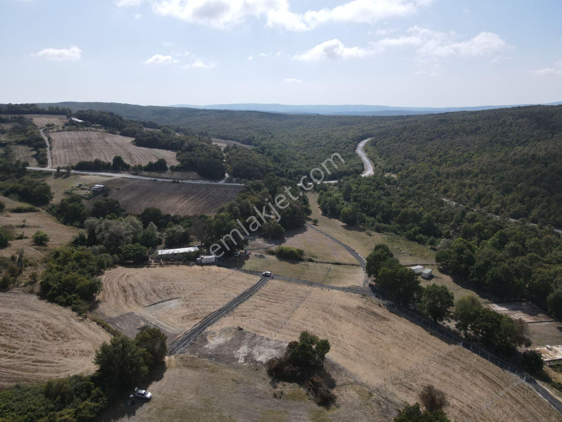 İstanbul Çatalca Celepköy Satılık 600 Ve 800 Ve 1200 M2'ler Arsa Tarla - Görsel 20