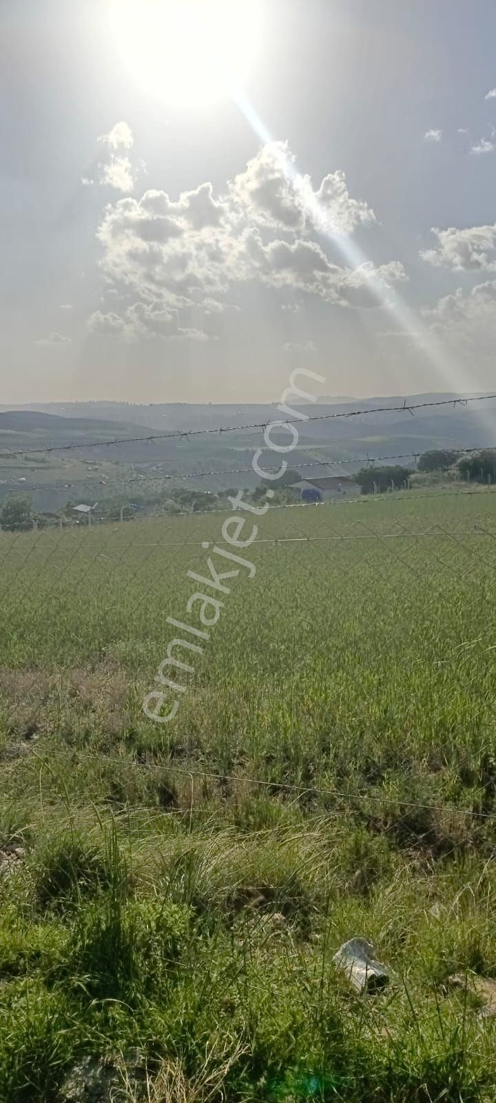 Altındağ Tatlar Satılık Tarla duyduk duymadık demeyin fırsat ayağınıza geldi son fiyattır...