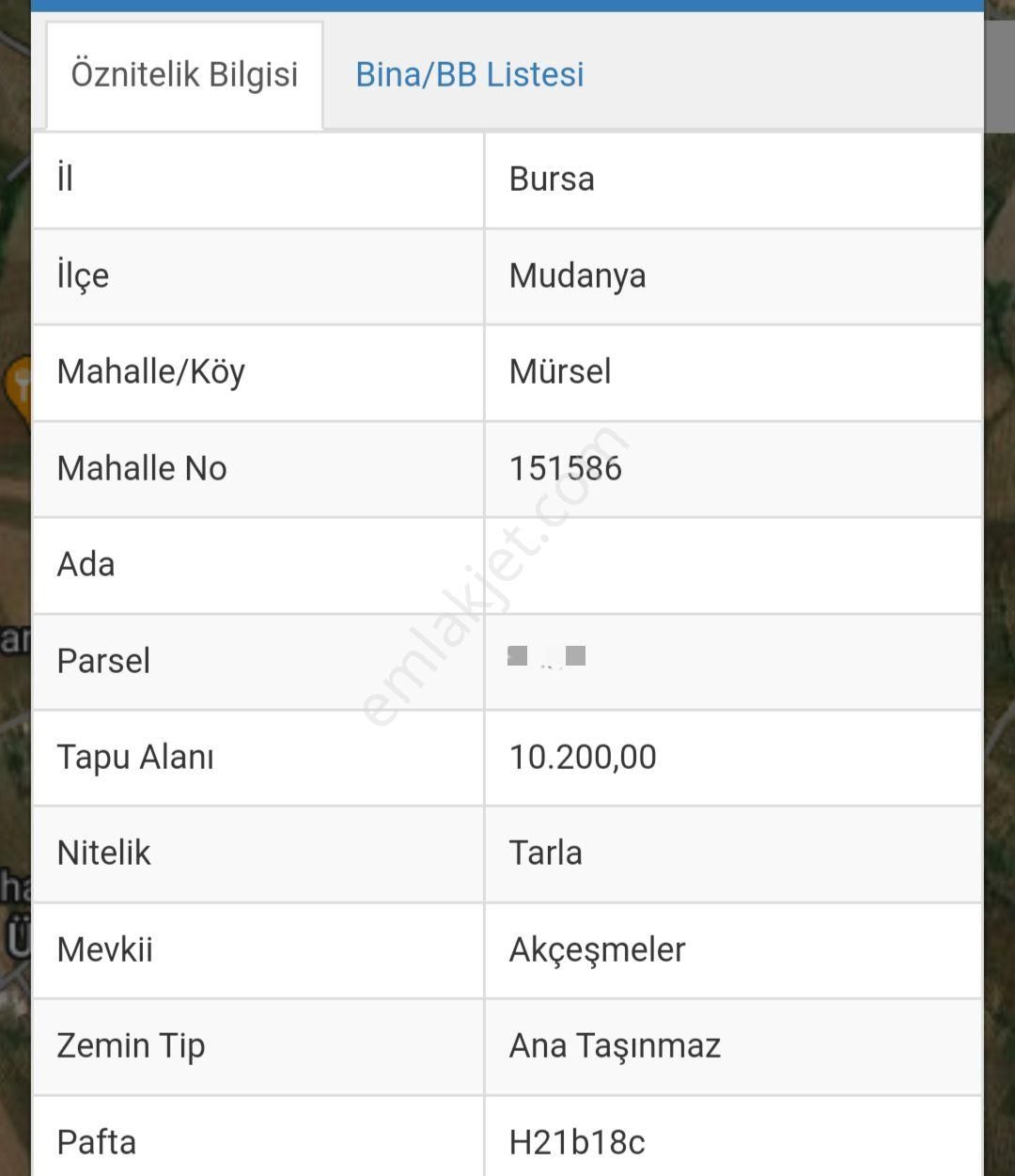 Ena Group Bursa Mudanya Mürsel'de Yola Cephe 10200 M2 Satılık Tarla - Görsel 3
