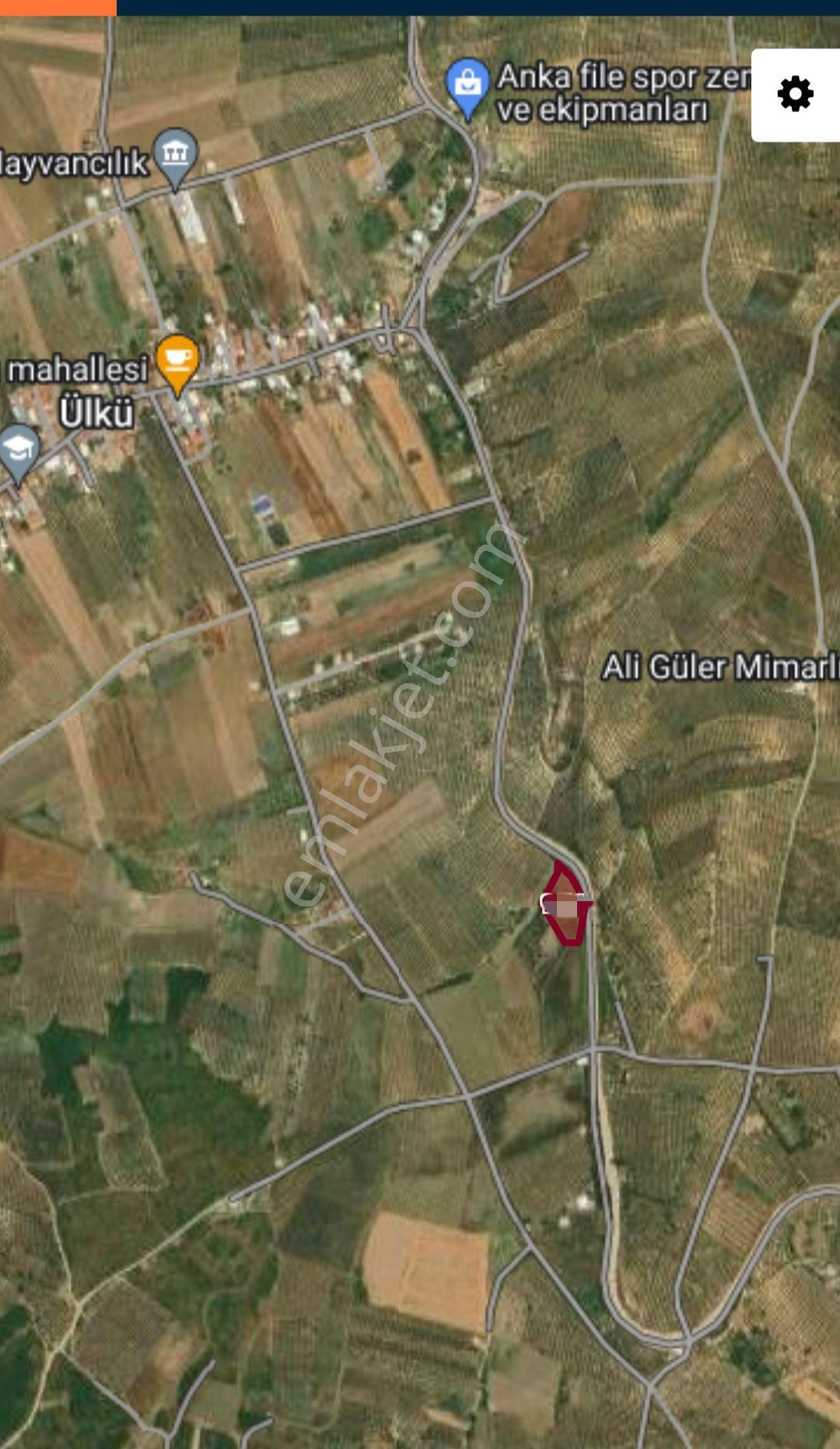 Ena Group Bursa Mudanya Mürsel'de 5000 M2 Asfalta Cephe Satılık Arazi - Görsel 2