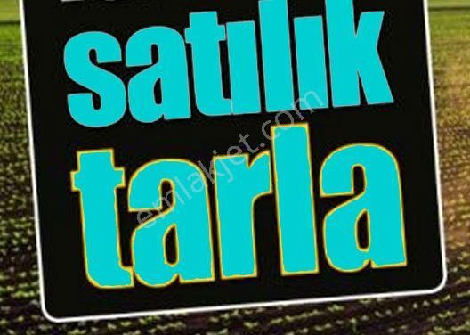 Tuşba Özyurt Satılık Tarla  TUŞBA ÖZYURT MAHALLESİNDE SATILIK 6.386 M2 TARLA