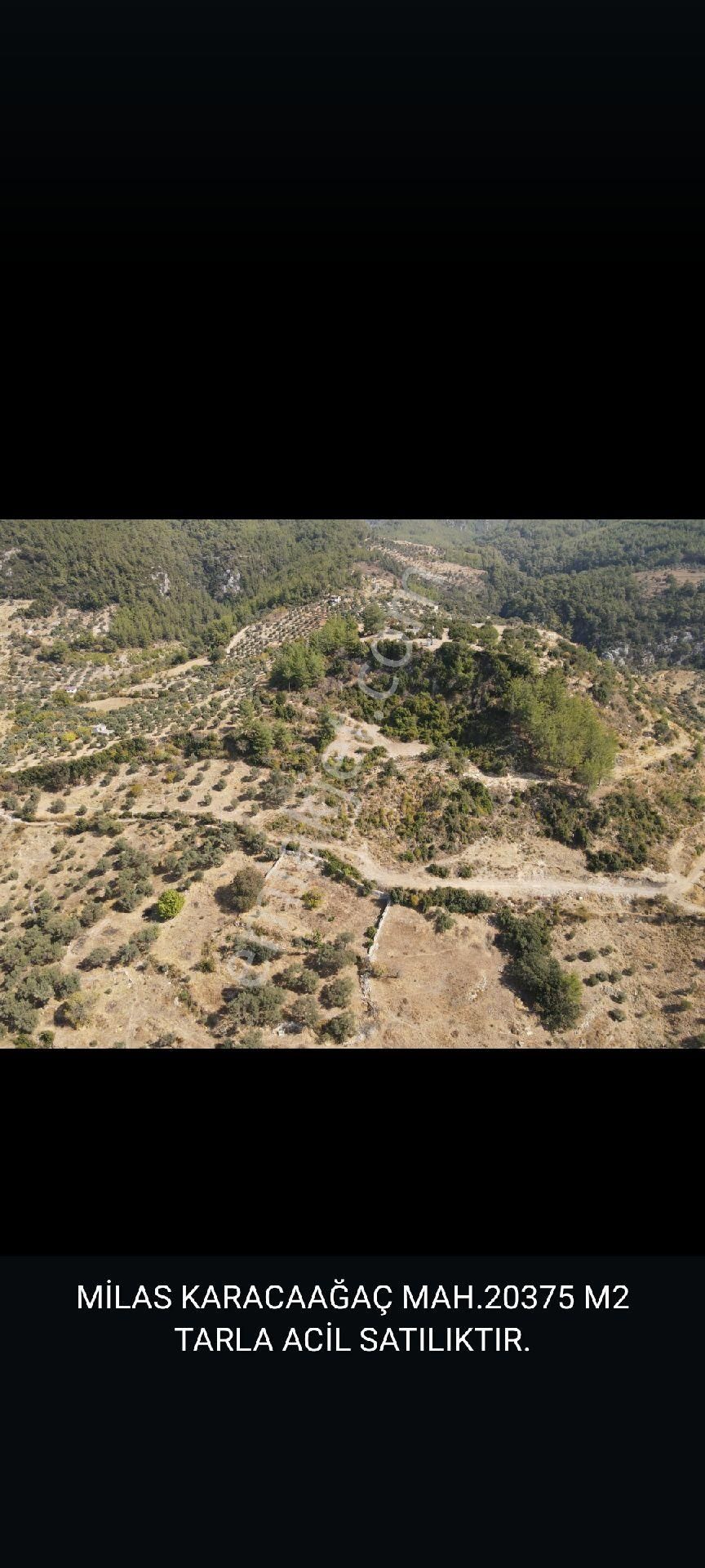 Satılık Tarla - Görsel 14