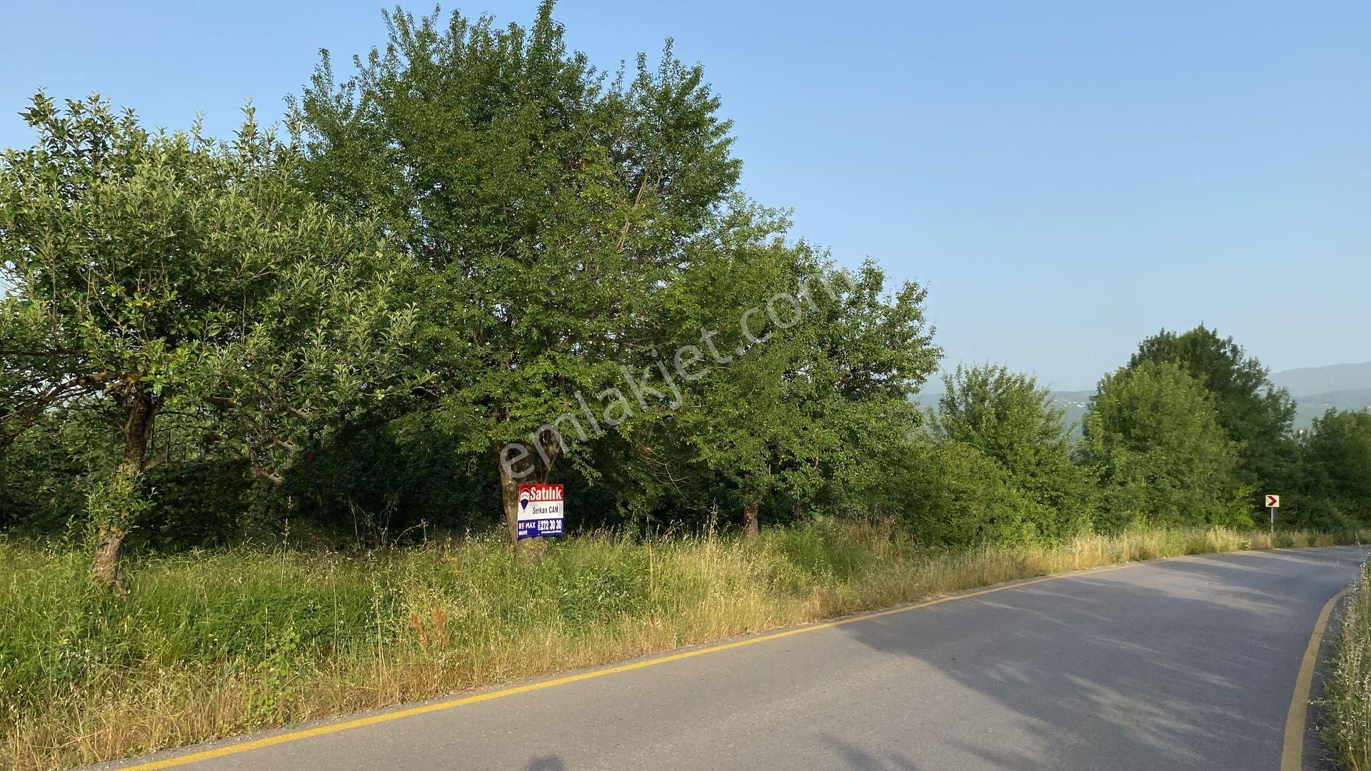 Hendek Kalayık Satılık Konut İmarlı Hendek Kalayık Mahallesinde 2.500 M2 Nezih İmarlı Arsa