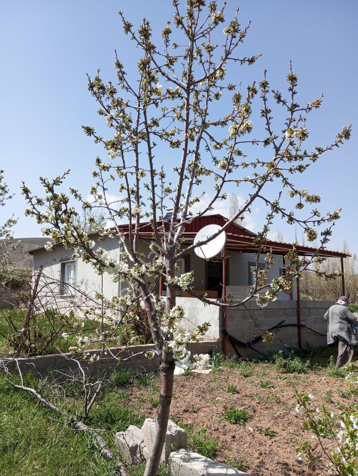 Çamardı Elekgölü Köyü Satılık Müstakil Ev NİĞDE ÇAMARDI DA DAĞ VE ORMAN MANZARALI SATILIK MÜSTAKİL EV 