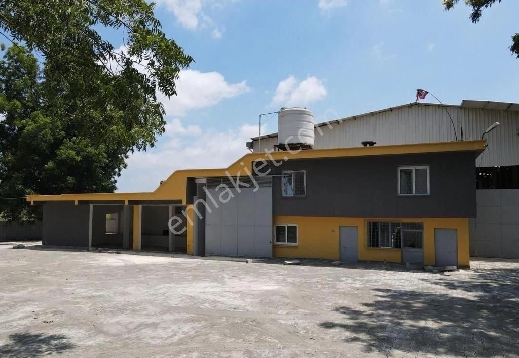 Rw mef'den tarsus havaalanina 3 km tam teşekküllü çi̇ftli̇k
