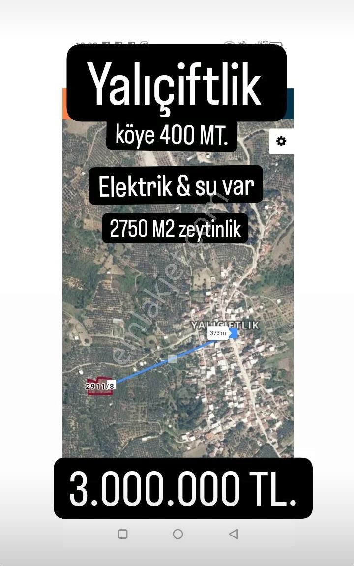 Mudanya Yalıçiftlik Satılık Konut İmarlı  Trilye Yalıçiftlik Köye 400 mt. mesafede 2750 m2 zeytinlik