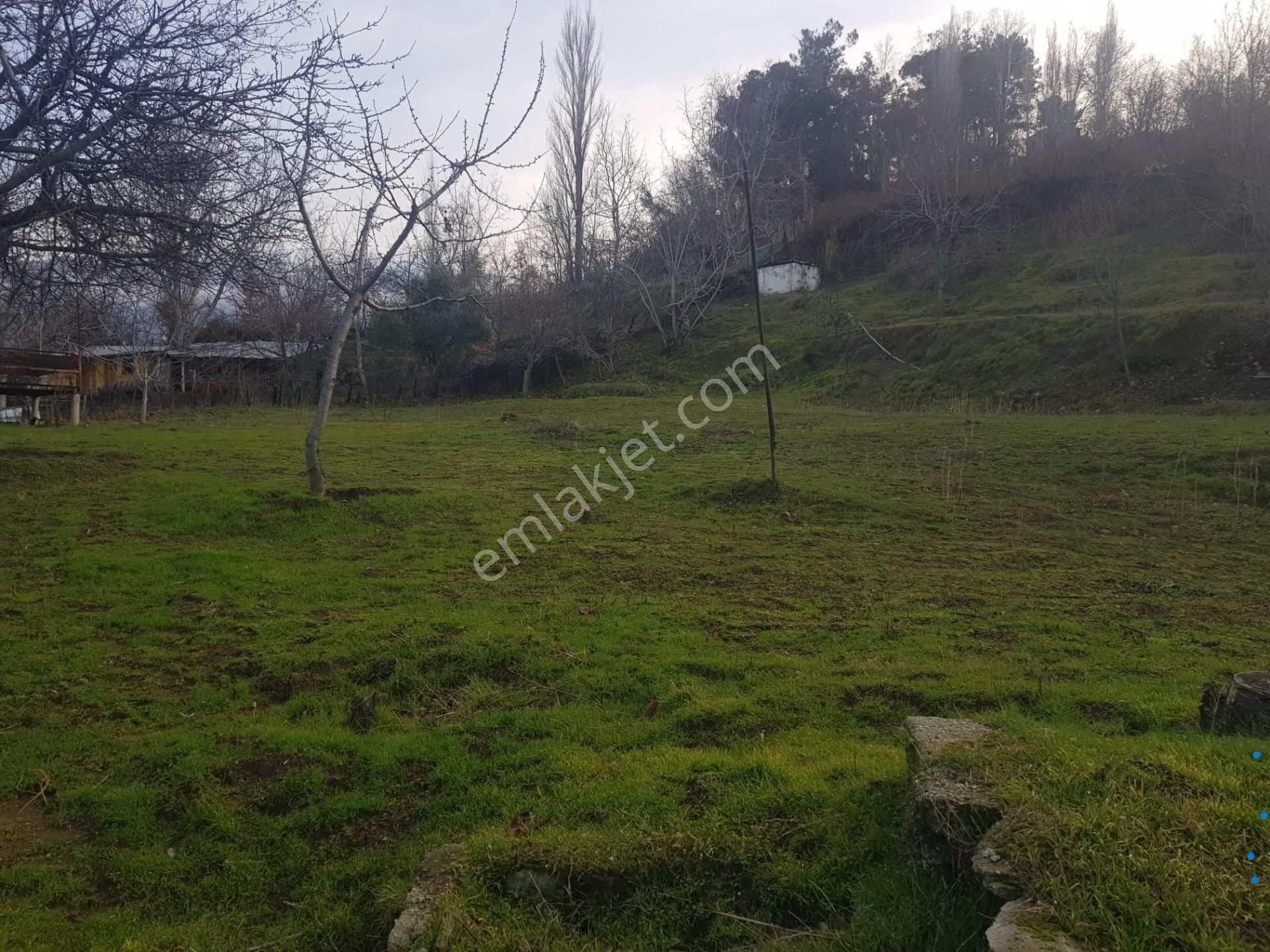 Babadağ Cumhuriyet Satılık Bağ & Bahçe  REDSTONE ROTADAN BABADAĞ YAYLADA 1300 M2 İÇİNDE EVİ OLAN ARSA