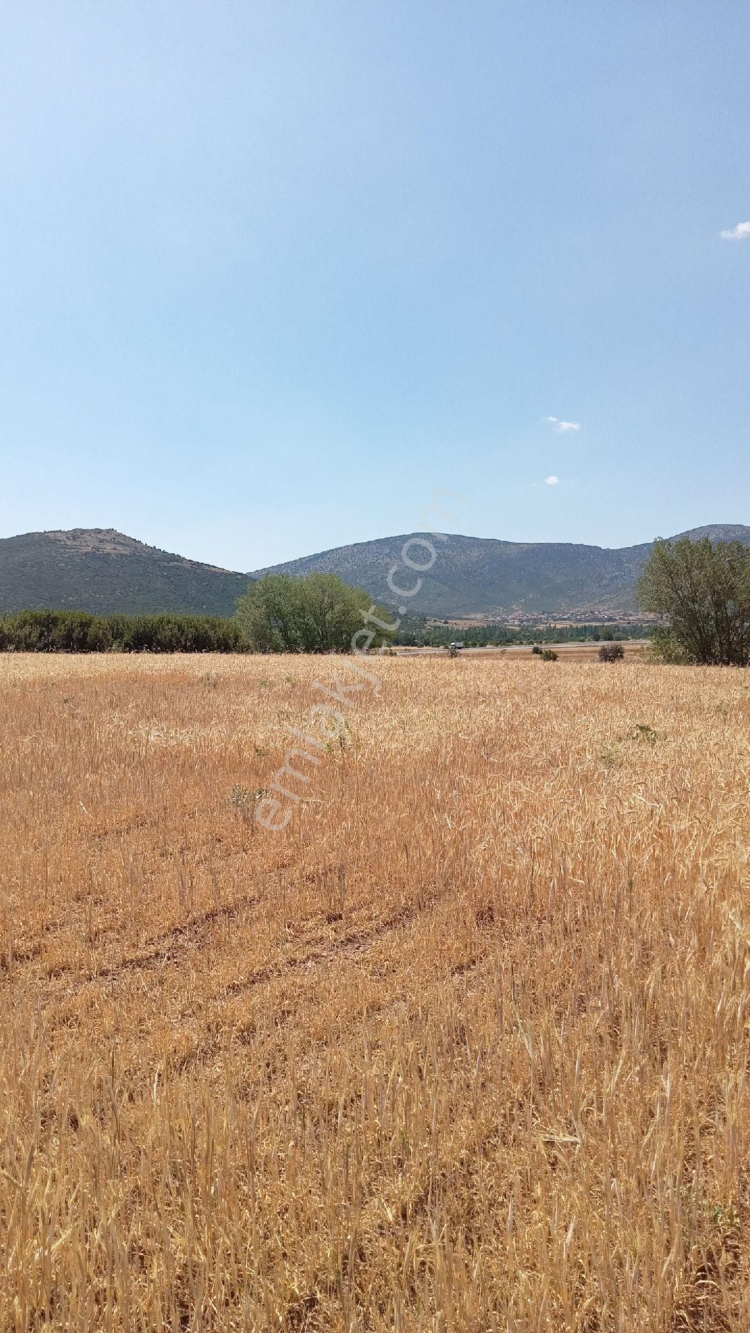 Şarkikaraağaç Kıyakdede Köyü Satılık Tarla Kıyakdede köyü yol kenarında Zirvede Satılık Arsa 