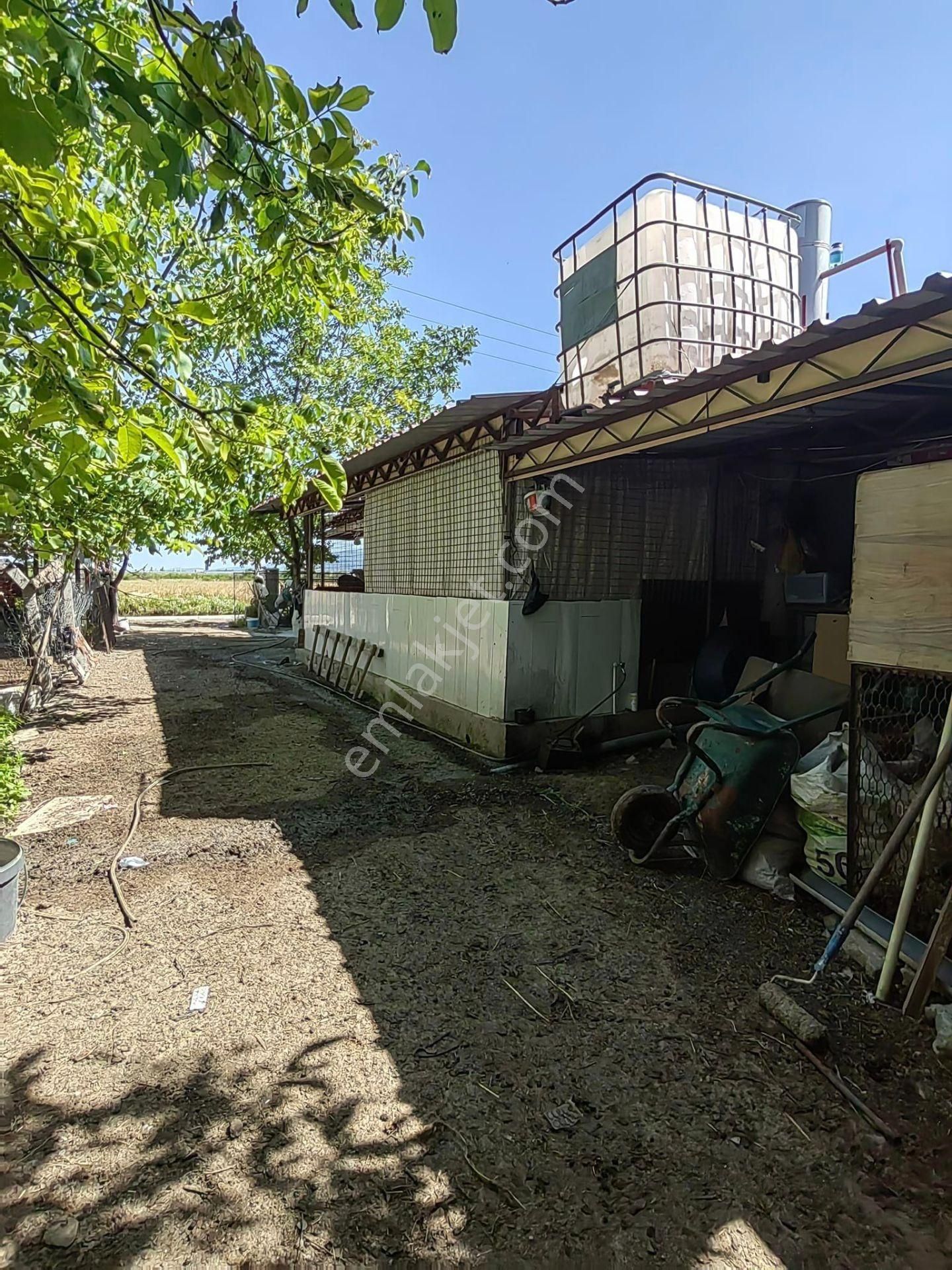 Akşehir Adsız Satılık Çiftlik  NASREDDİN EMLAKTAN DSIZDA SATILIK BESİHANE