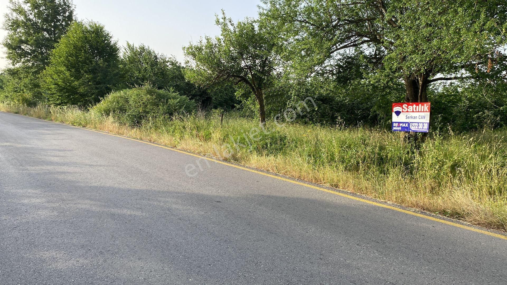 Hendek Kalayık Satılık Tarla Hendek Kalayık Mahallesinde Asfalt Yola Yakın Tarla