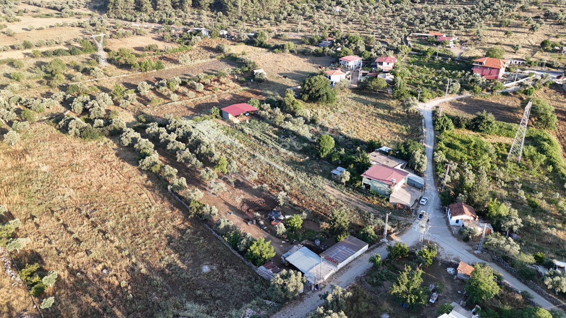 Milas Kızılağaç Satılık Konut İmarlı  ULAŞ GAYRİMENKUL'DEN SATILIK KIZILAĞAÇTA KÖY İÇİ İMARLI ARSA