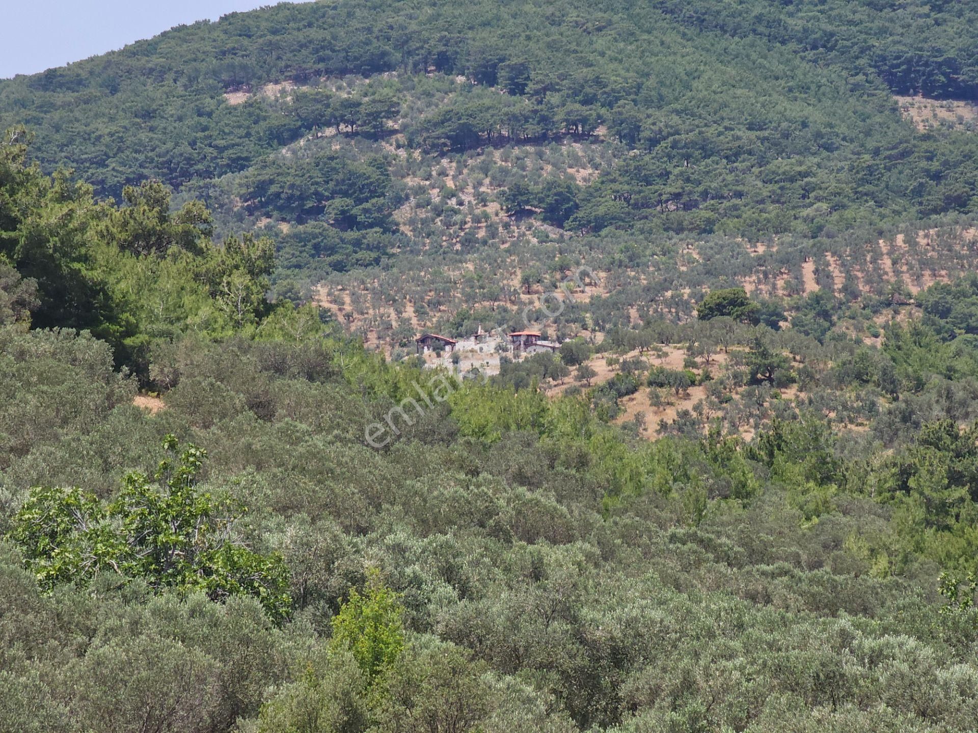 Eu Gayrimenlulden Balıkesir Edremit Güre'de Asansörlü Yerden Isıtmalı 5+1 Villa - Görsel 18