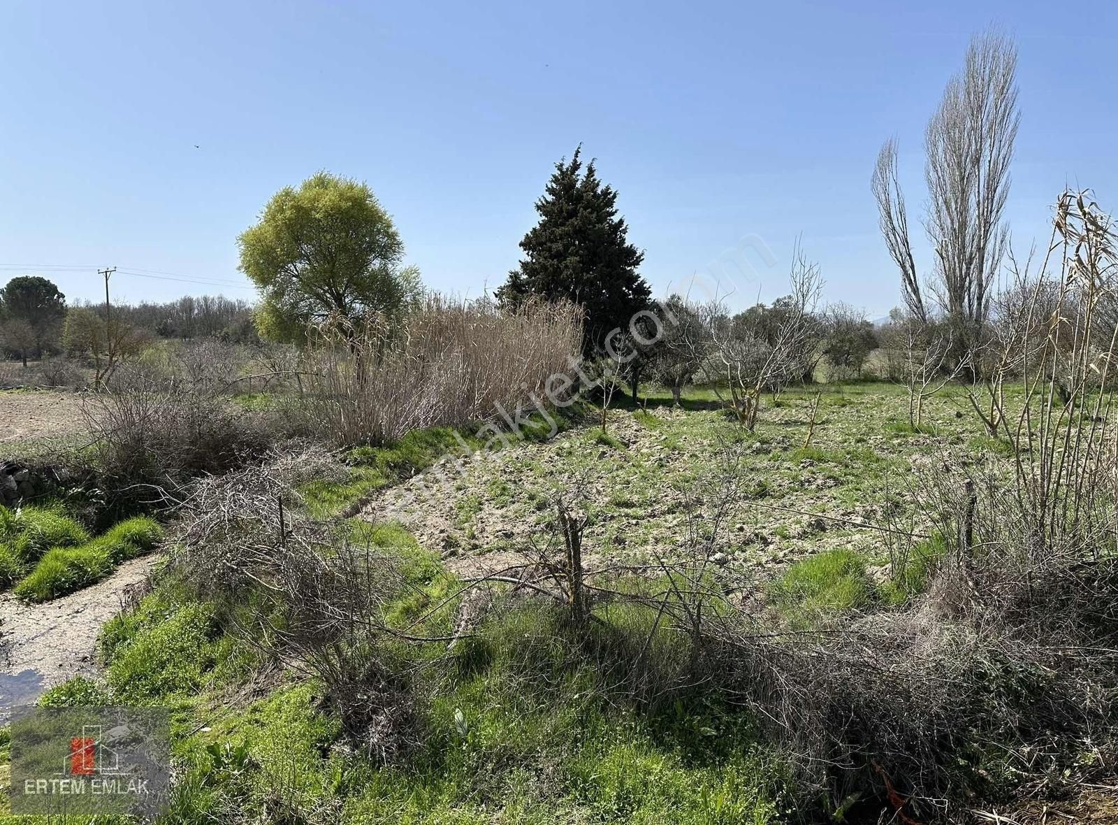 Yunusemre Osmancalı Satılık Tarla Manisa Yunusemre Osmancalı Satılık Bahçe Köy Yanı Su Yol