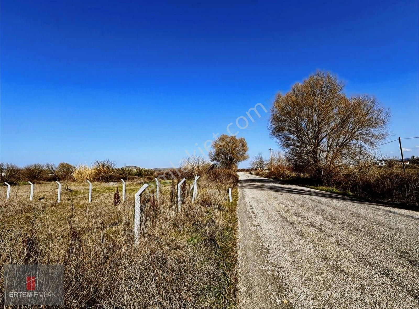 Yunusemre Osmancalı Satılık Tarla Manisa Yunusemre Osmancalı Satılık Arazi Asfalta Sıfır