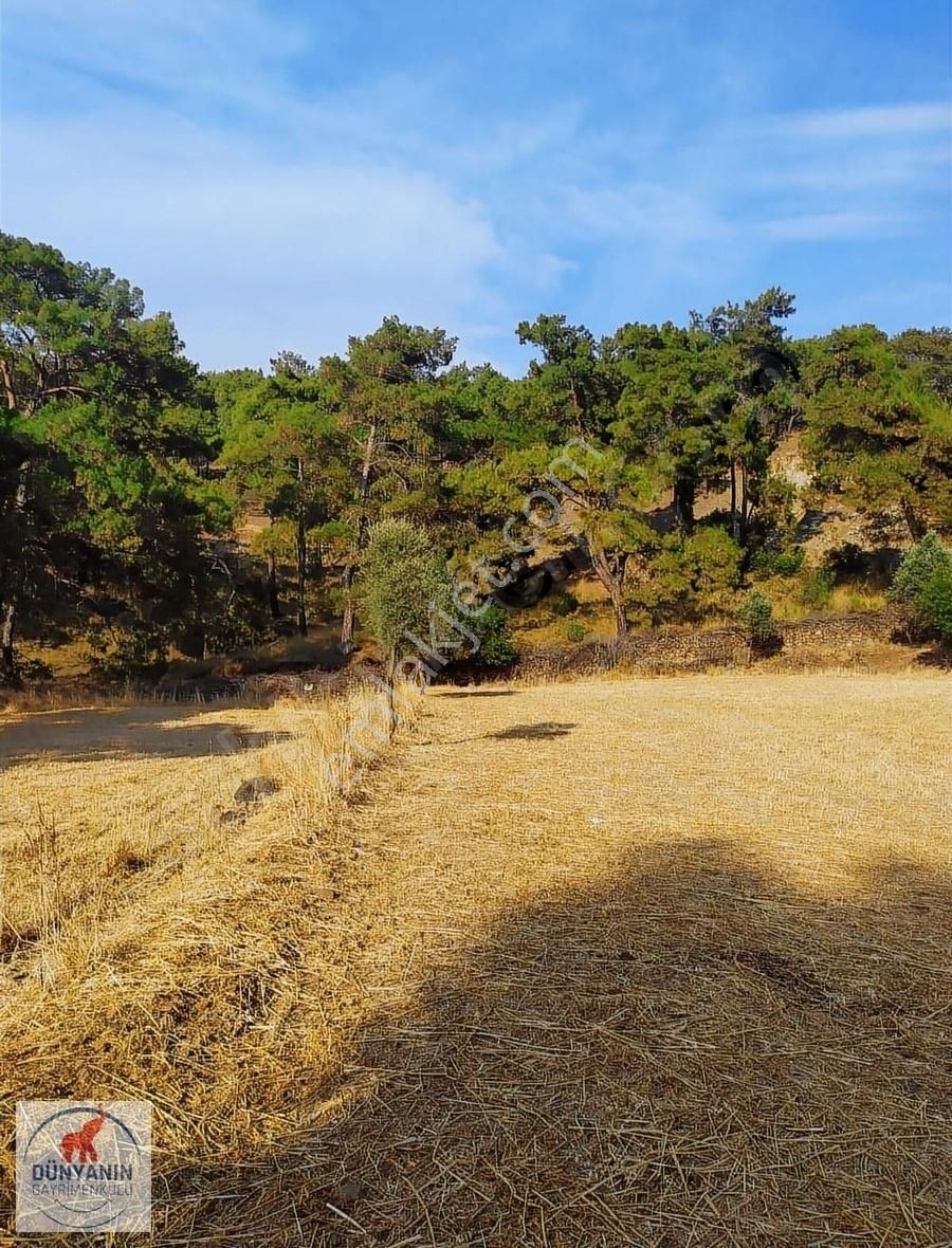 Ortaca Gökbel Satılık Tarla DALYAN YAYLASINDA MUHTEŞEM SATILIK ARAZİ