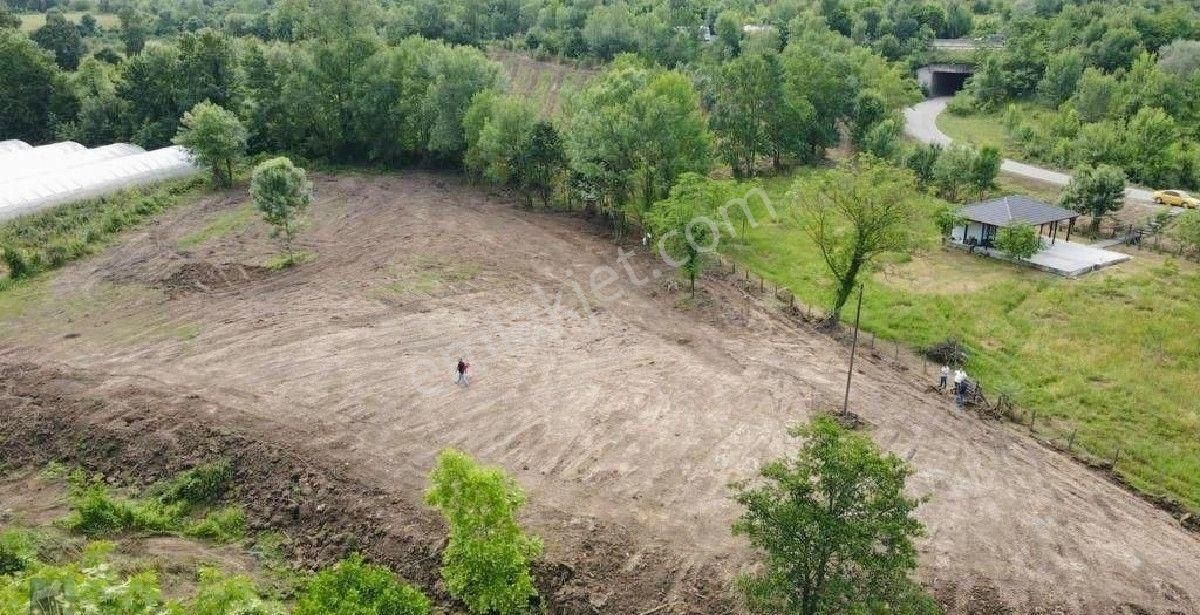 Hendek Balıklıihsaniye Satılık Konut İmarlı SAKARYA HENDEKTE B İHSANİYEDE 1480 M2 SATILK KUPON  BAHÇE