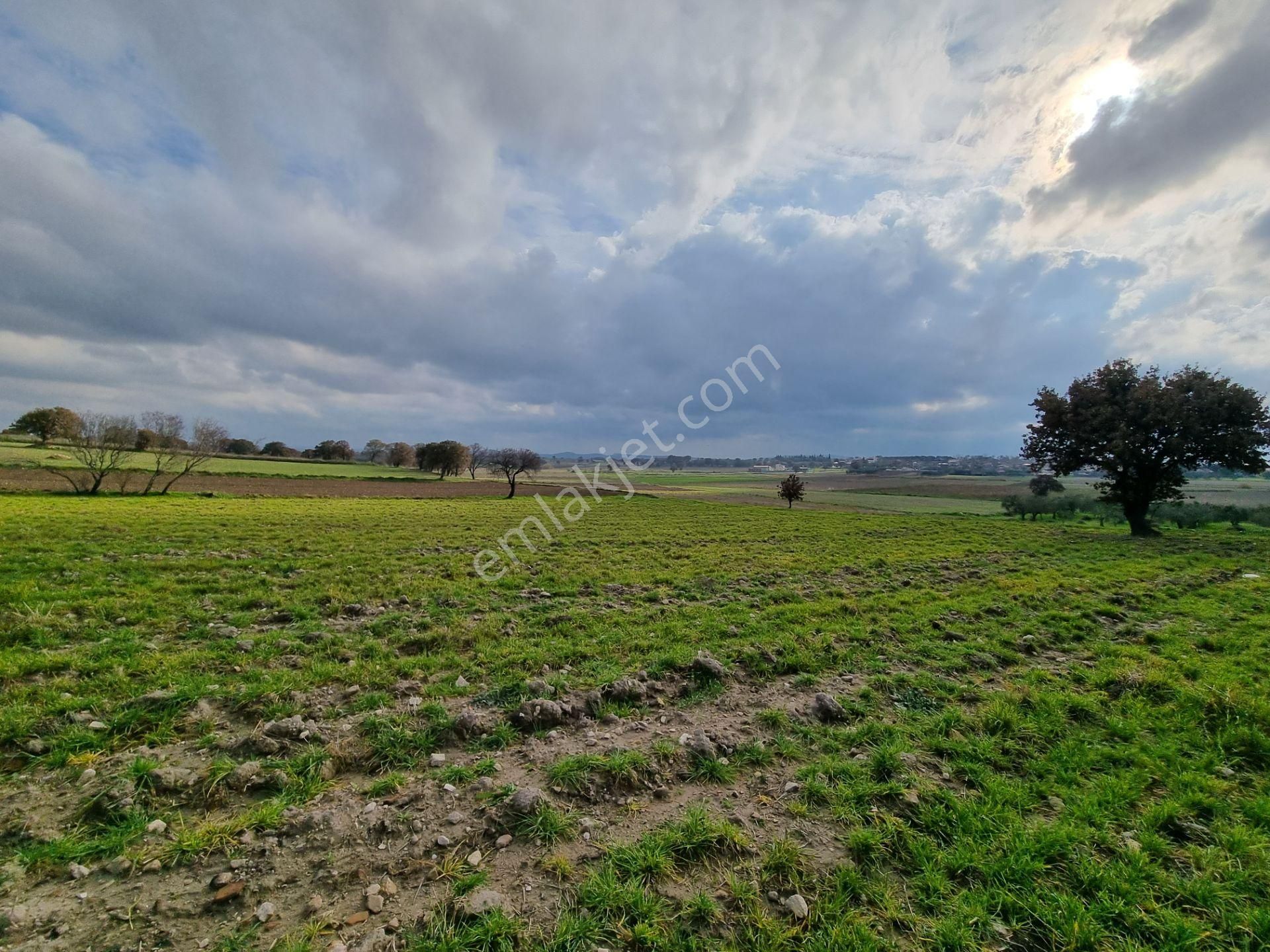 Çanakkale Han Emlak Otomotivden Tevfikiye Köyünde 10576 M2 Tarla - Görsel 23