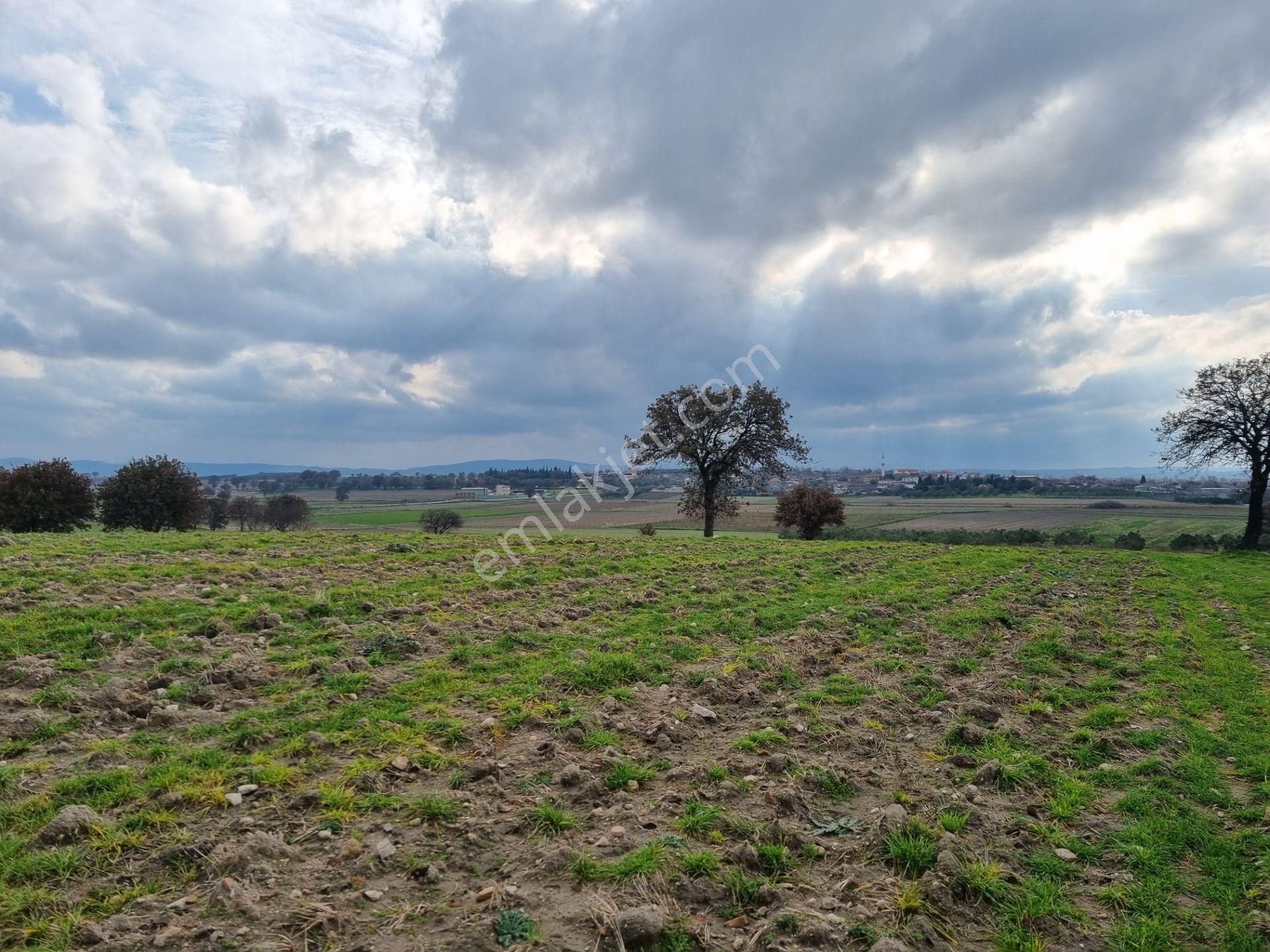 Çanakkale Han Emlak Otomotivden Tevfikiye Köyünde 10576 M2 Tarla - Görsel 7