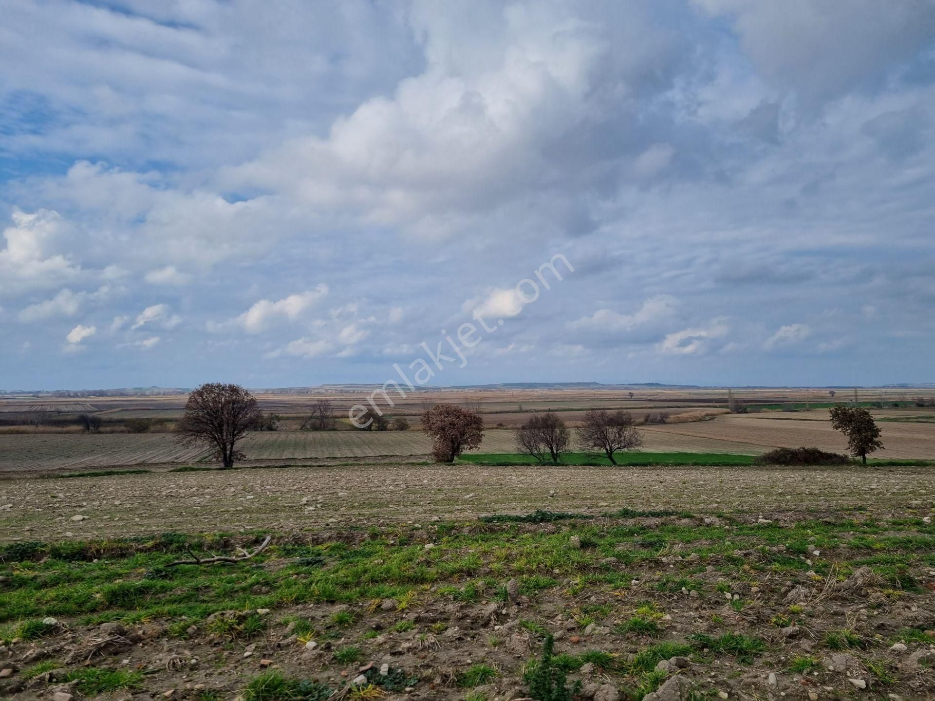 Çanakkale Han Emlak Otomotivden Tevfikiye Köyünde 10576 M2 Tarla - Görsel 11