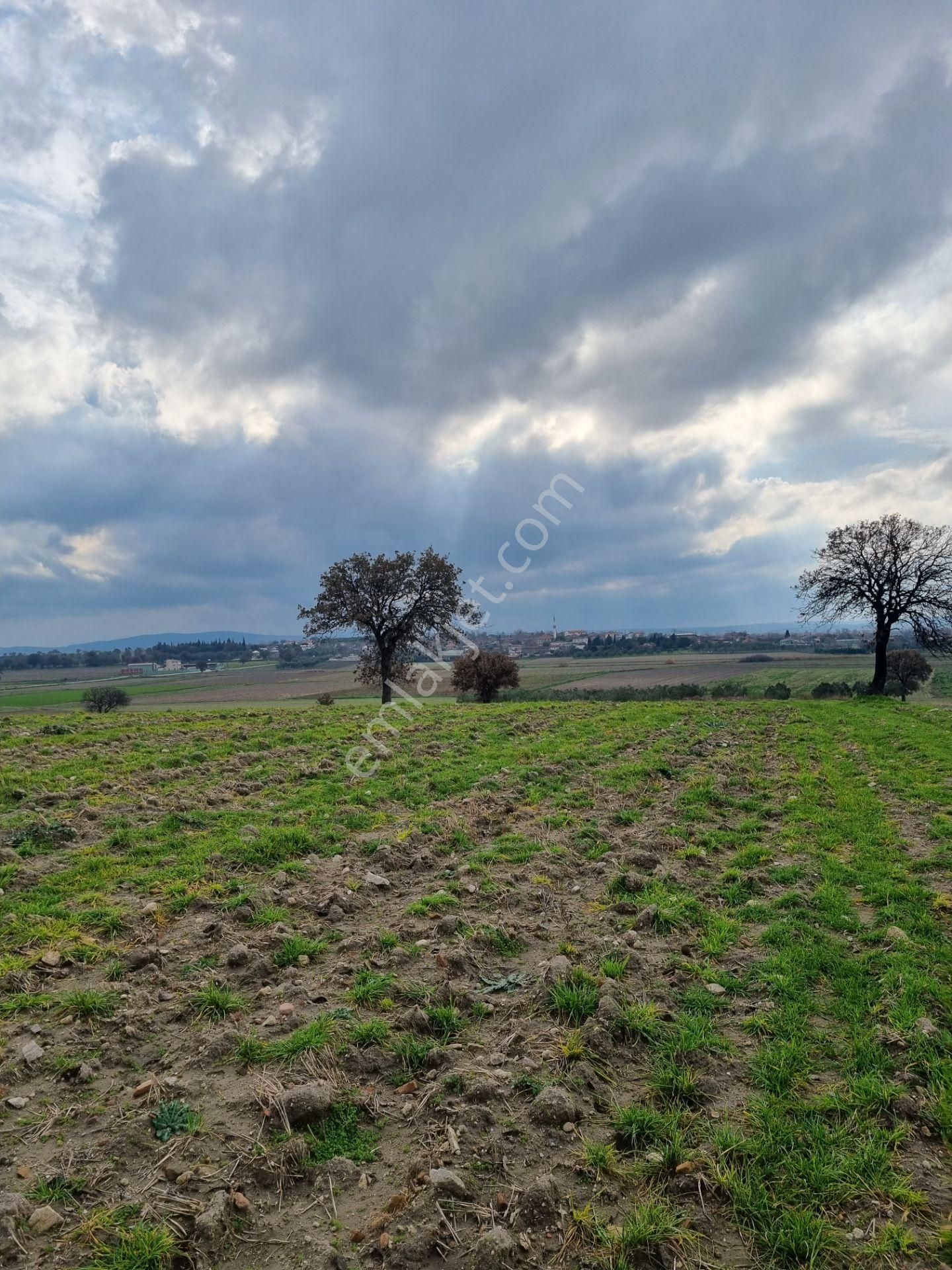 Çanakkale Han Emlak Otomotivden Tevfikiye Köyünde 10576 M2 Tarla - Görsel 6