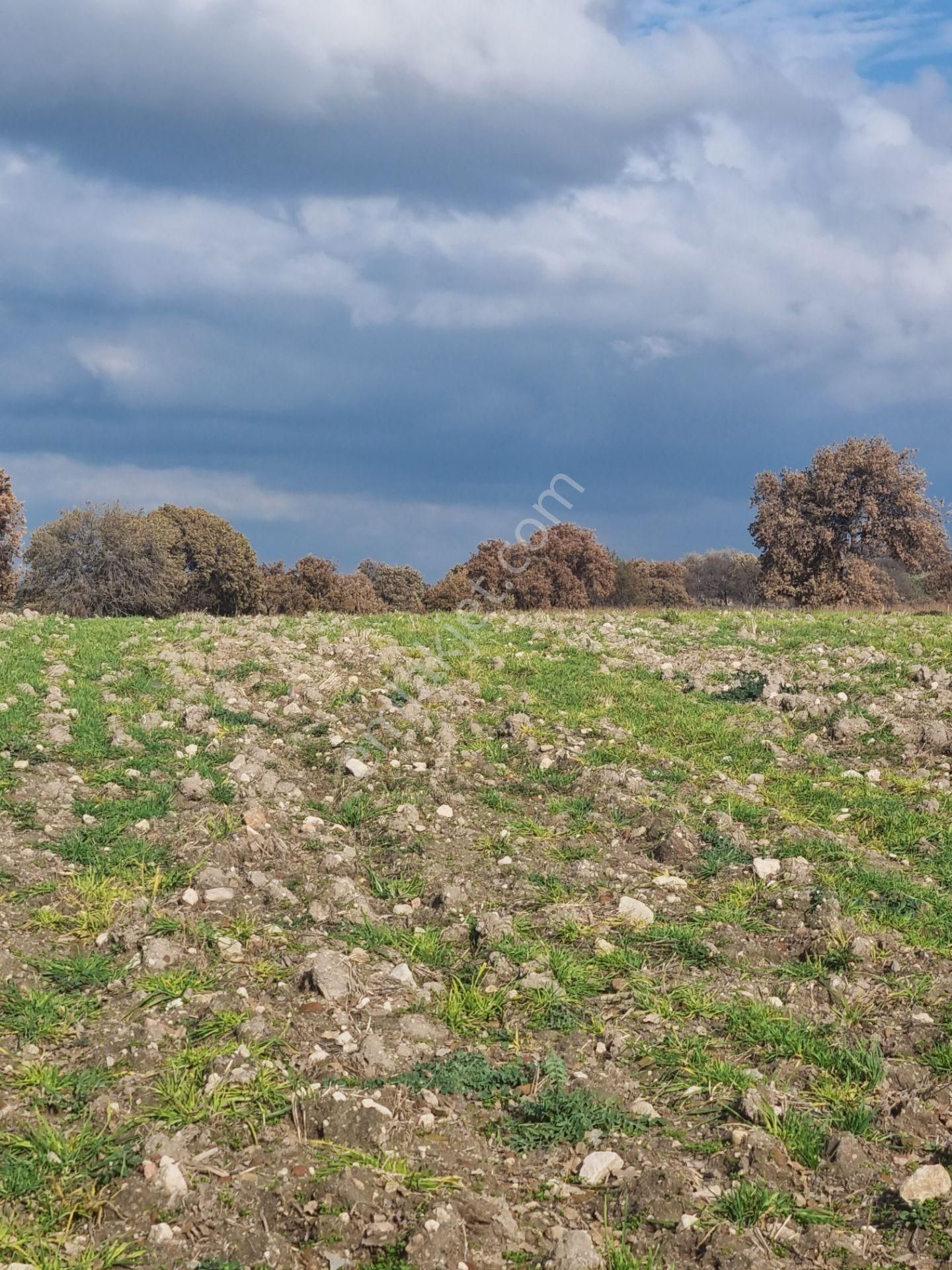 Çanakkale Han Emlak Otomotivden Tevfikiye Köyünde 6572 M2 Tarla - Görsel 23