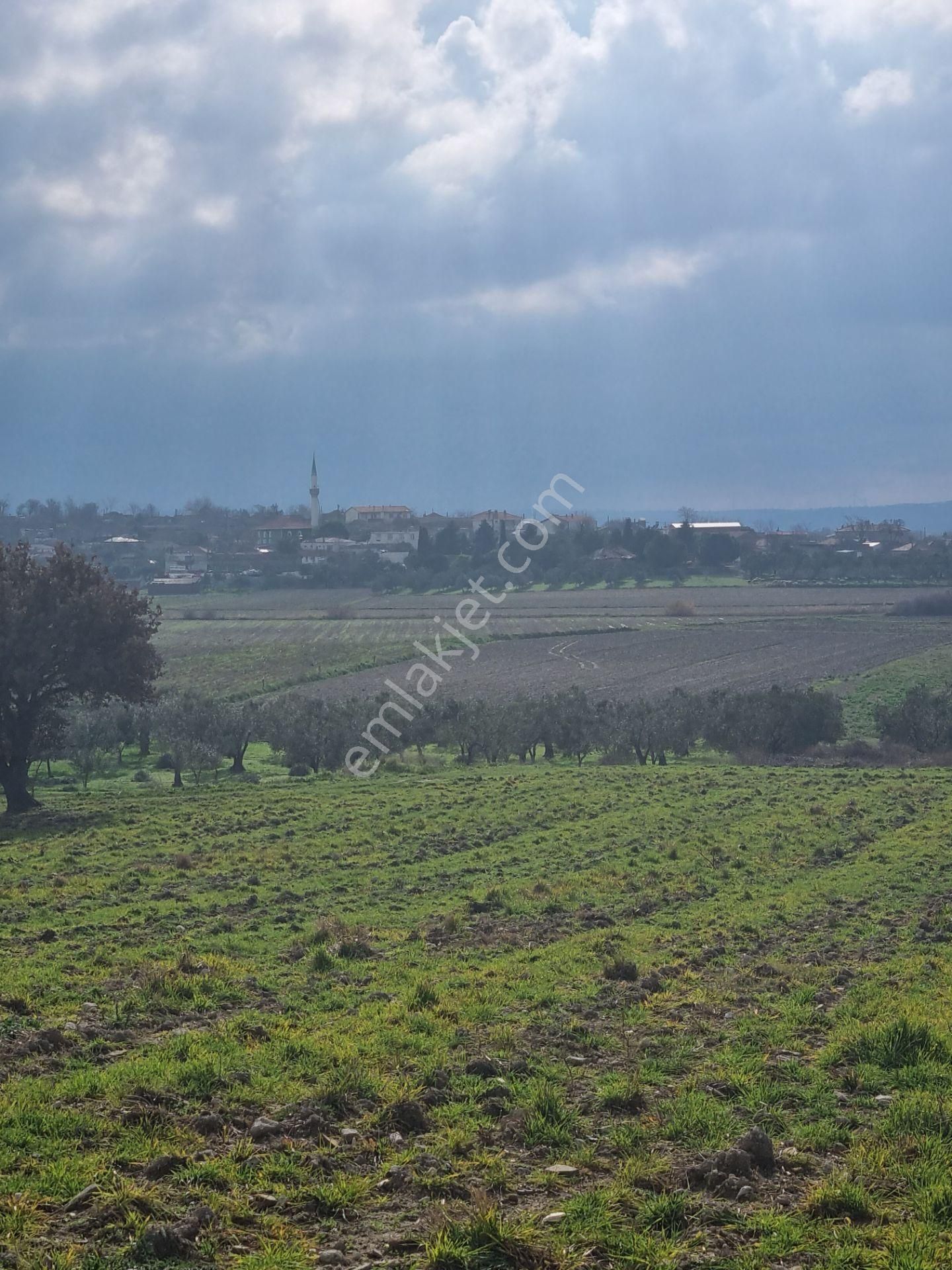 Çanakkale Han Emlak Otomotivden Tevfikiye Köyünde 6572 M2 Tarla - Görsel 21